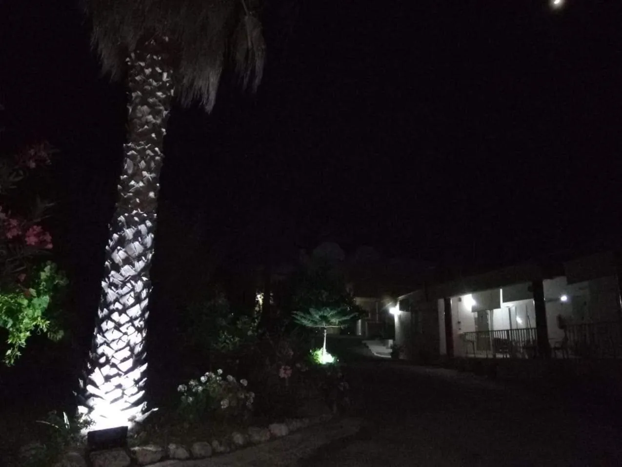 Denise Apartments Kefalos