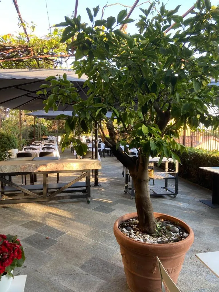 Restaurant/places to eat in Le Funi Hotel