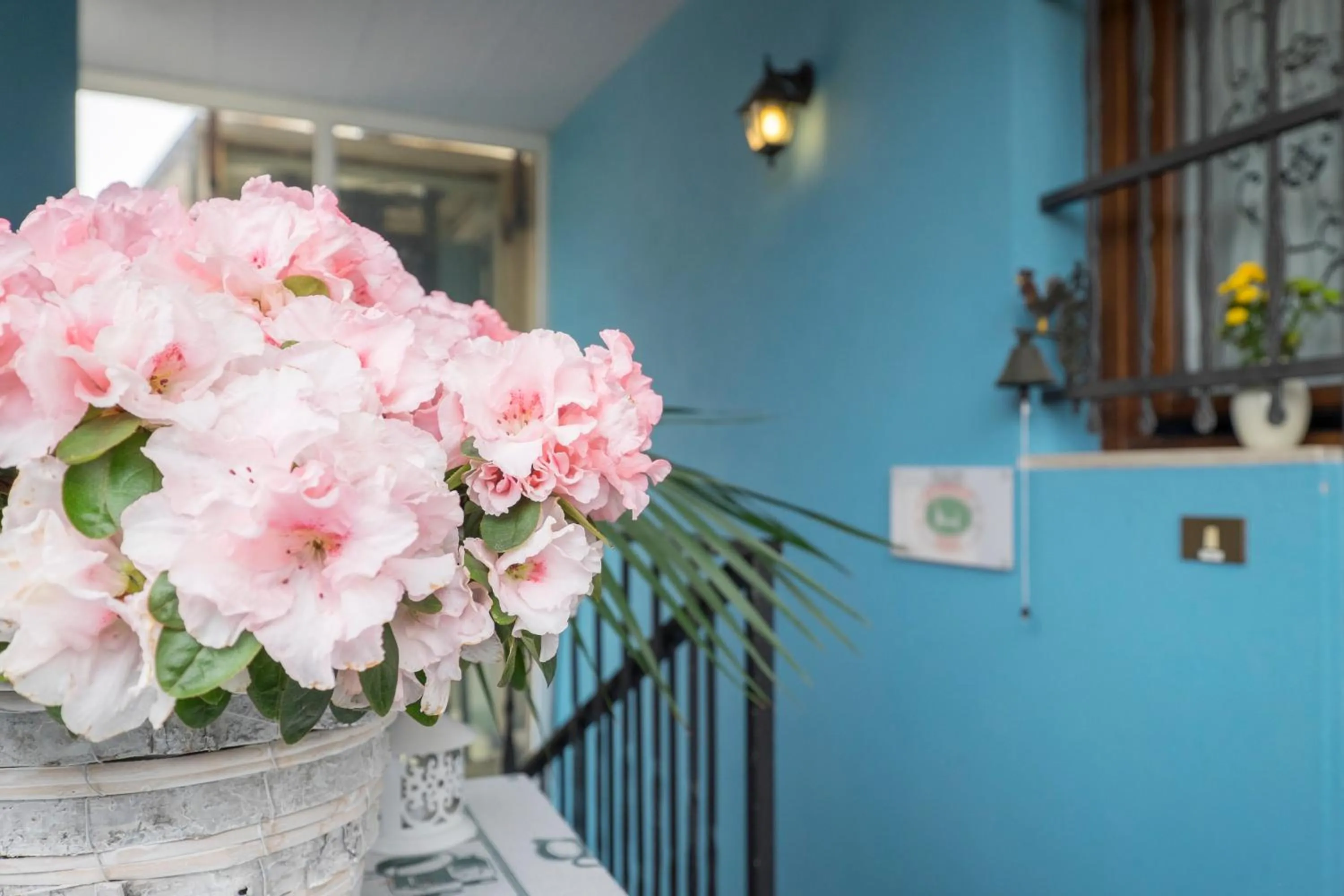 Certificate/Award in Berici Bed and Breakfast