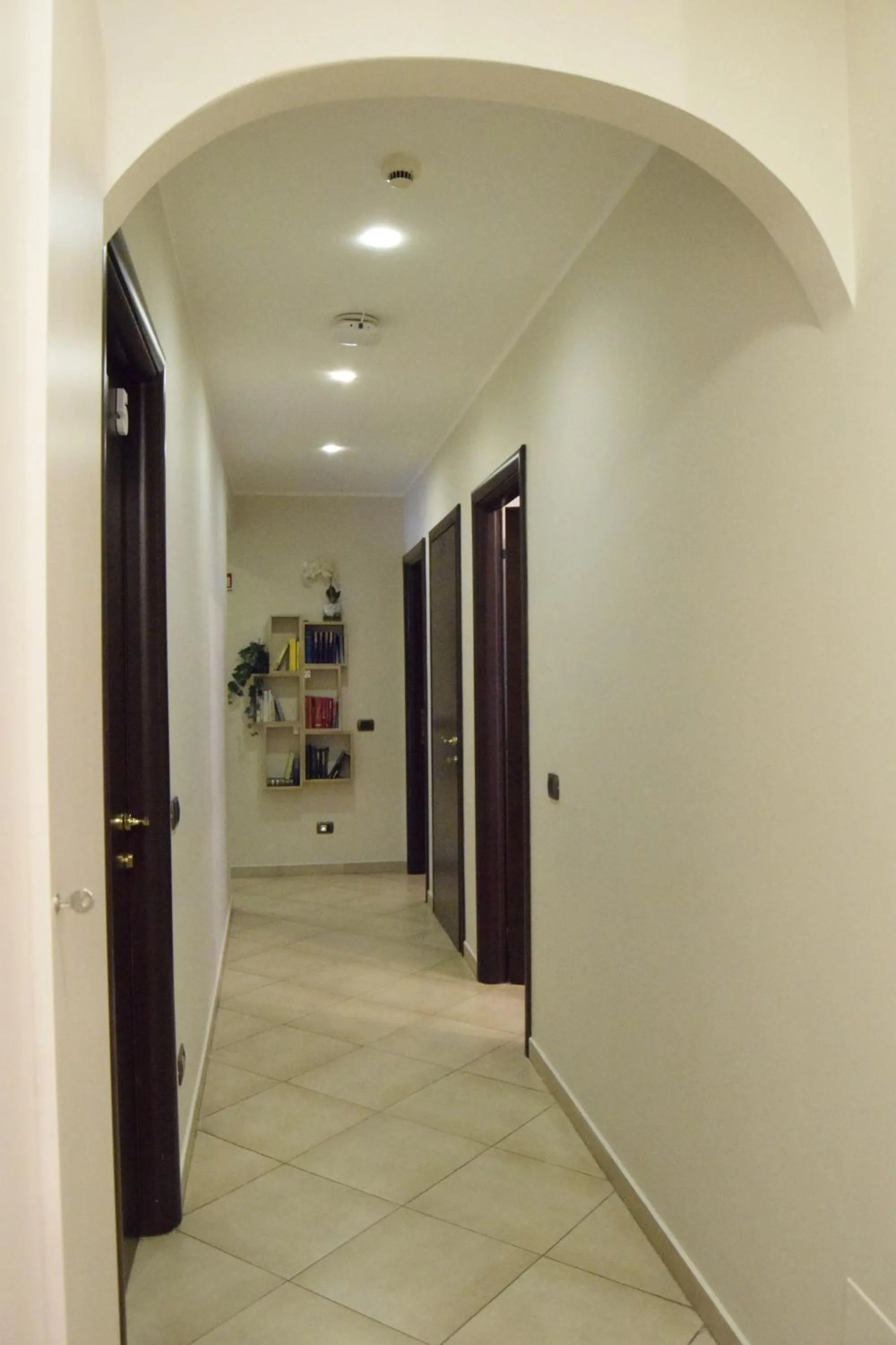 Library in Holiday a San Pietro