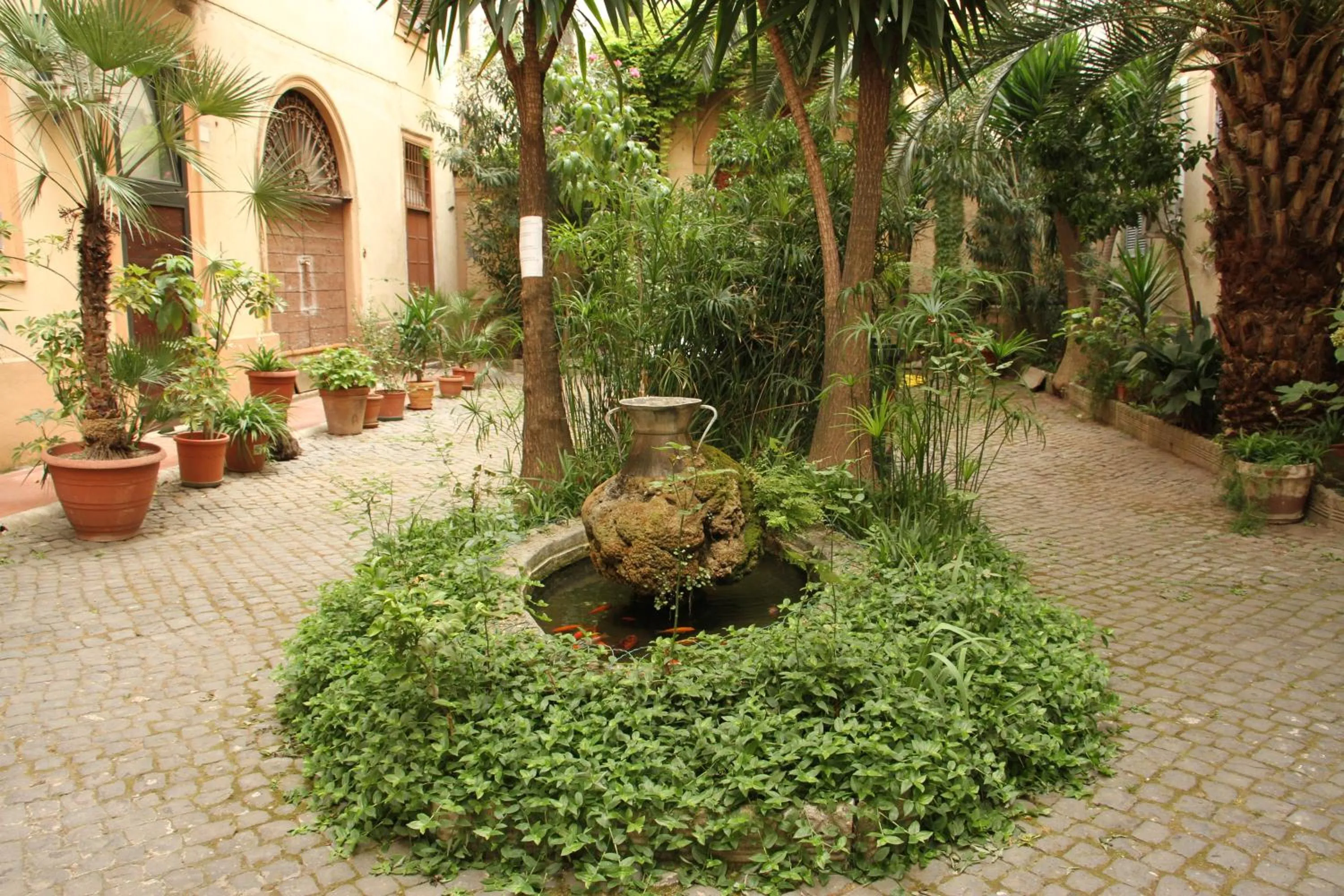 Garden in Giovy