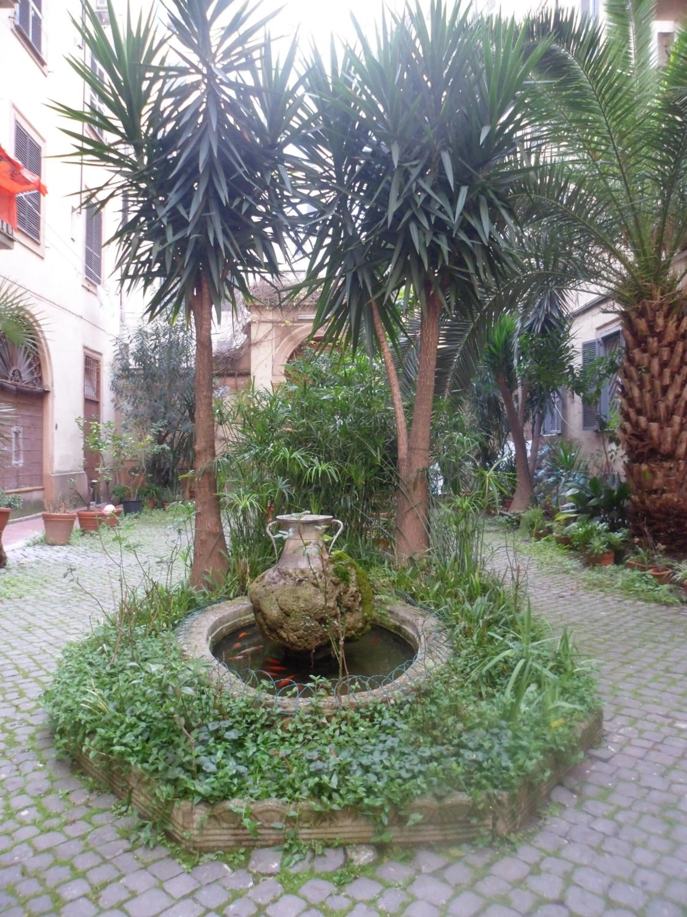 Garden in Giovy