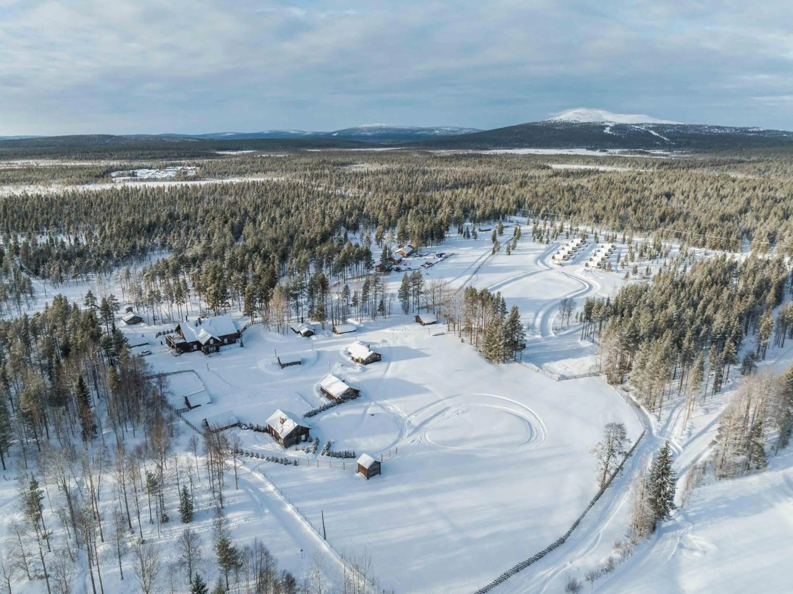 Day in Reindeer Manor Levi