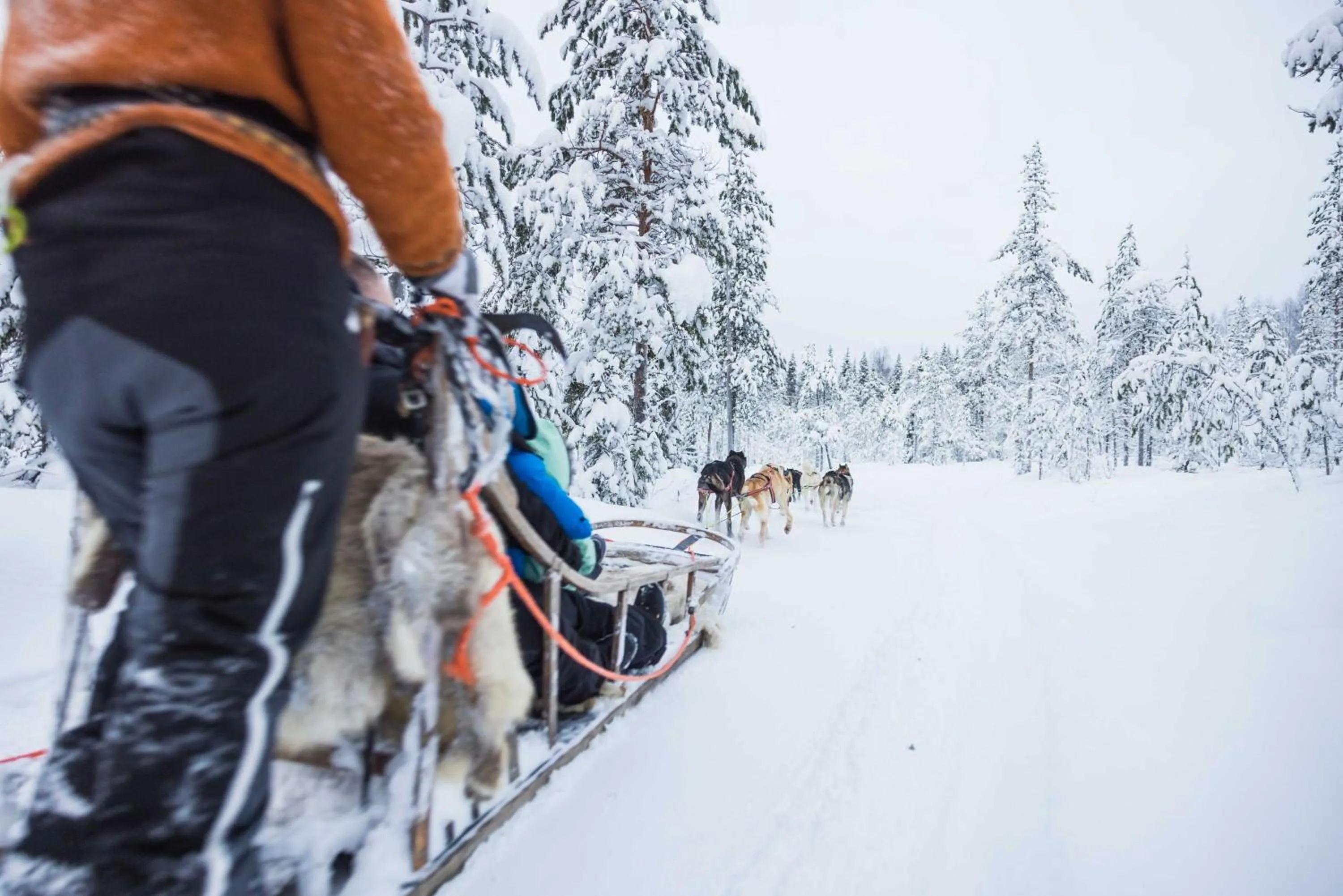 People in Reindeer Manor Levi