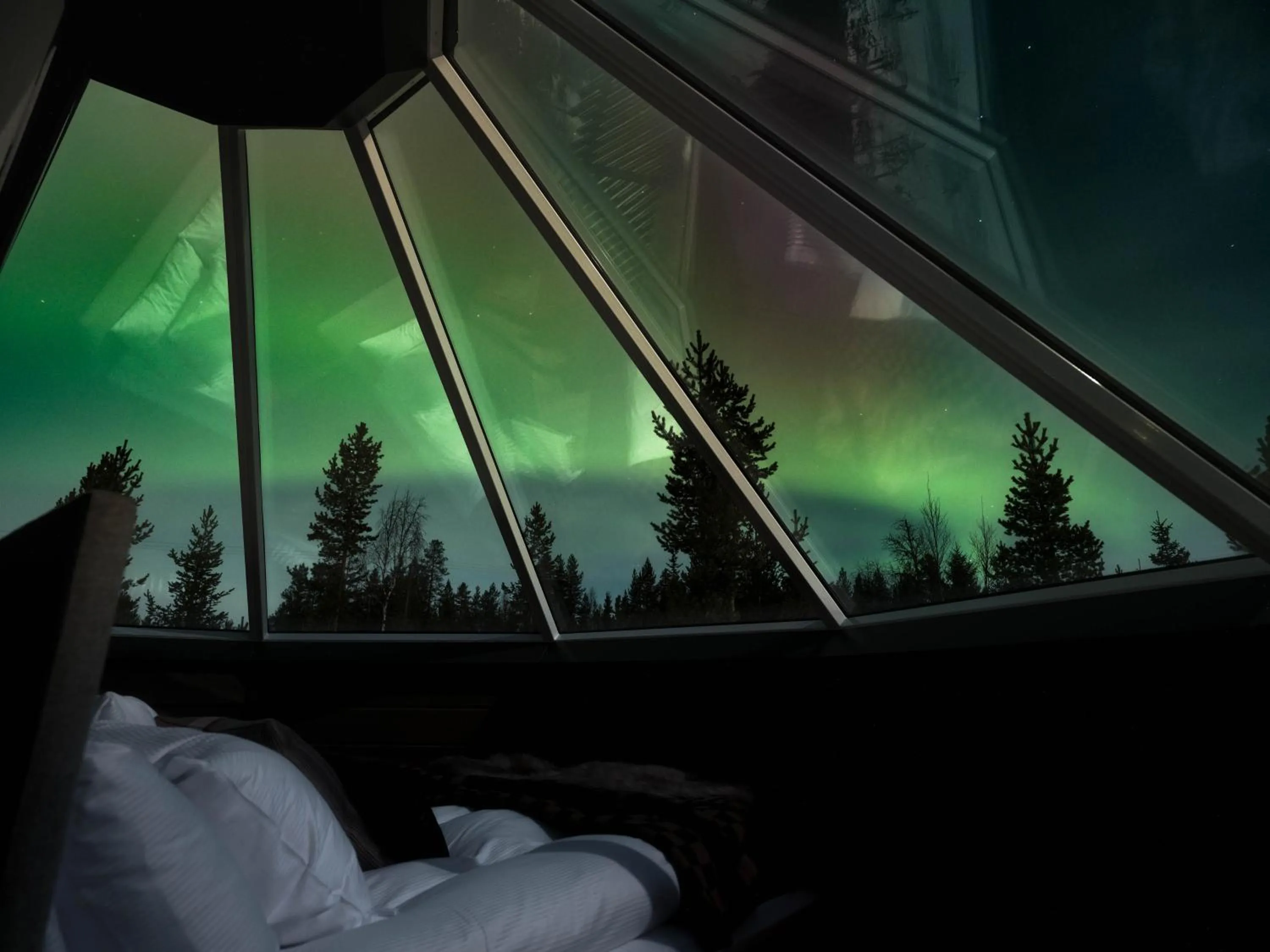 Night in Reindeer Manor Levi