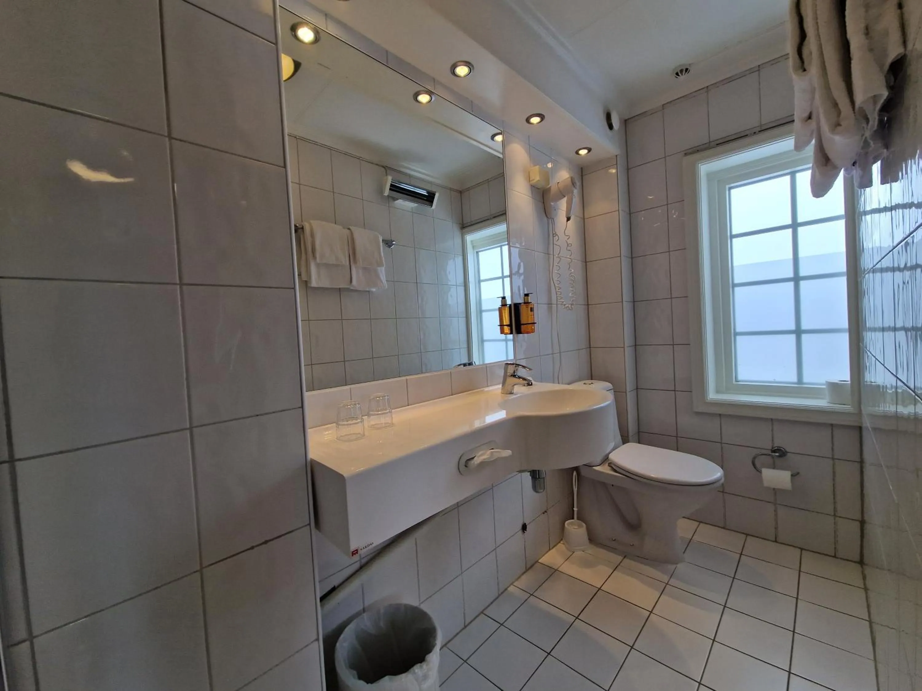 Toilet in Dr. Holms Hotel