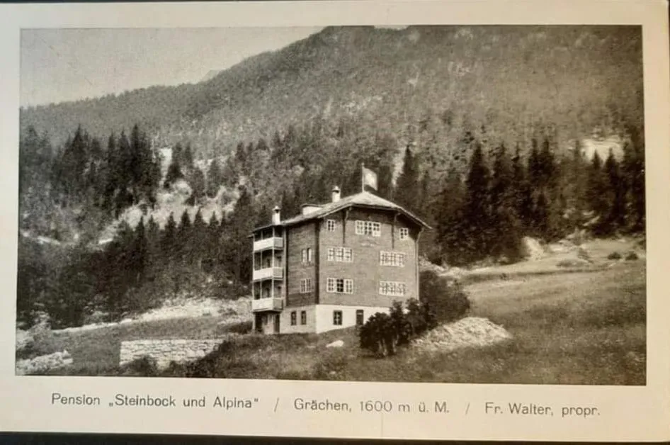 Hotel Alpina