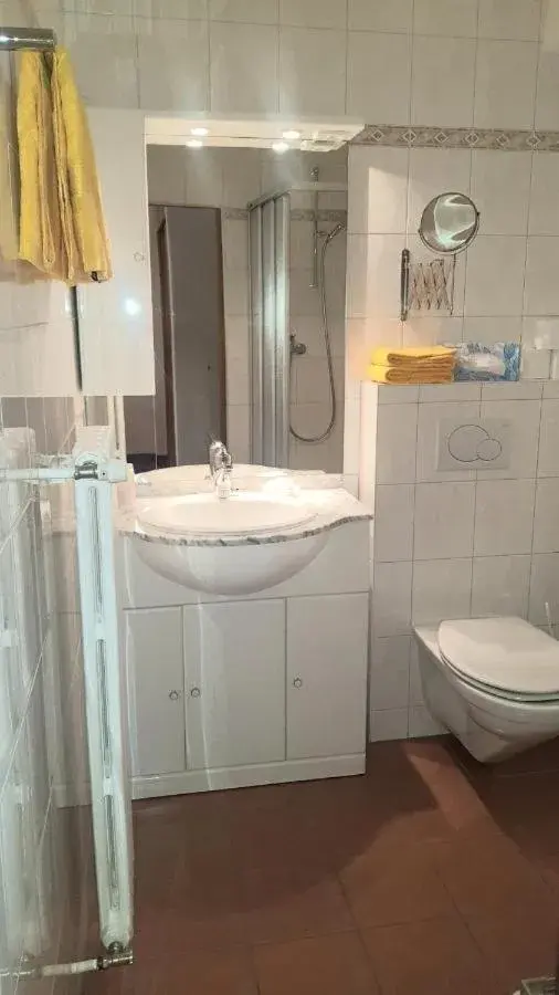 Single Room with Mountain View - single occupancy in Hotel Alpina Single Room with Mountain View - single occupancy in Hotel Alpina