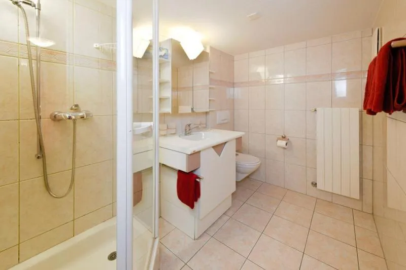 Shower in Hotel Alpina