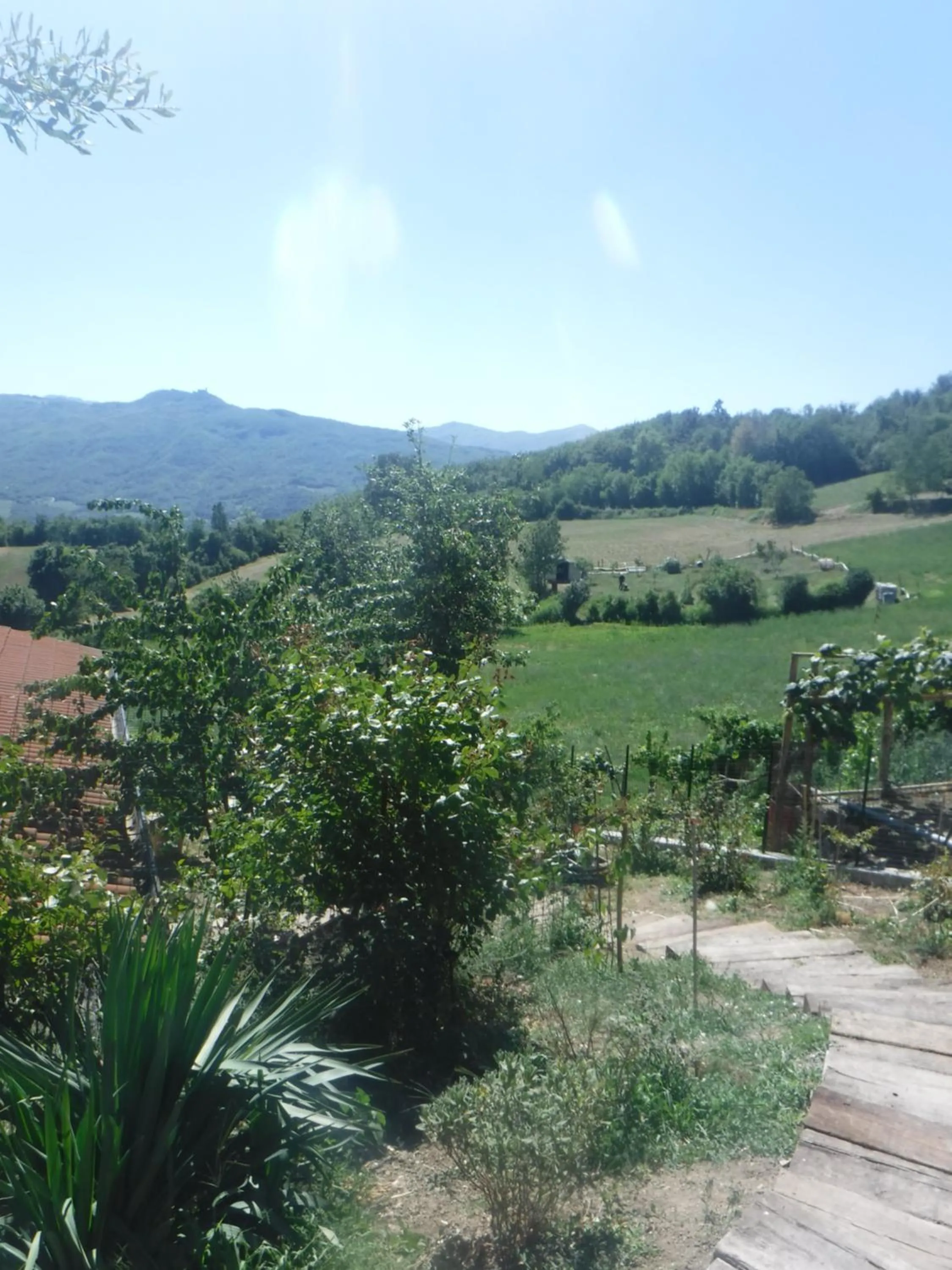 Property building in Orto dei Semplici