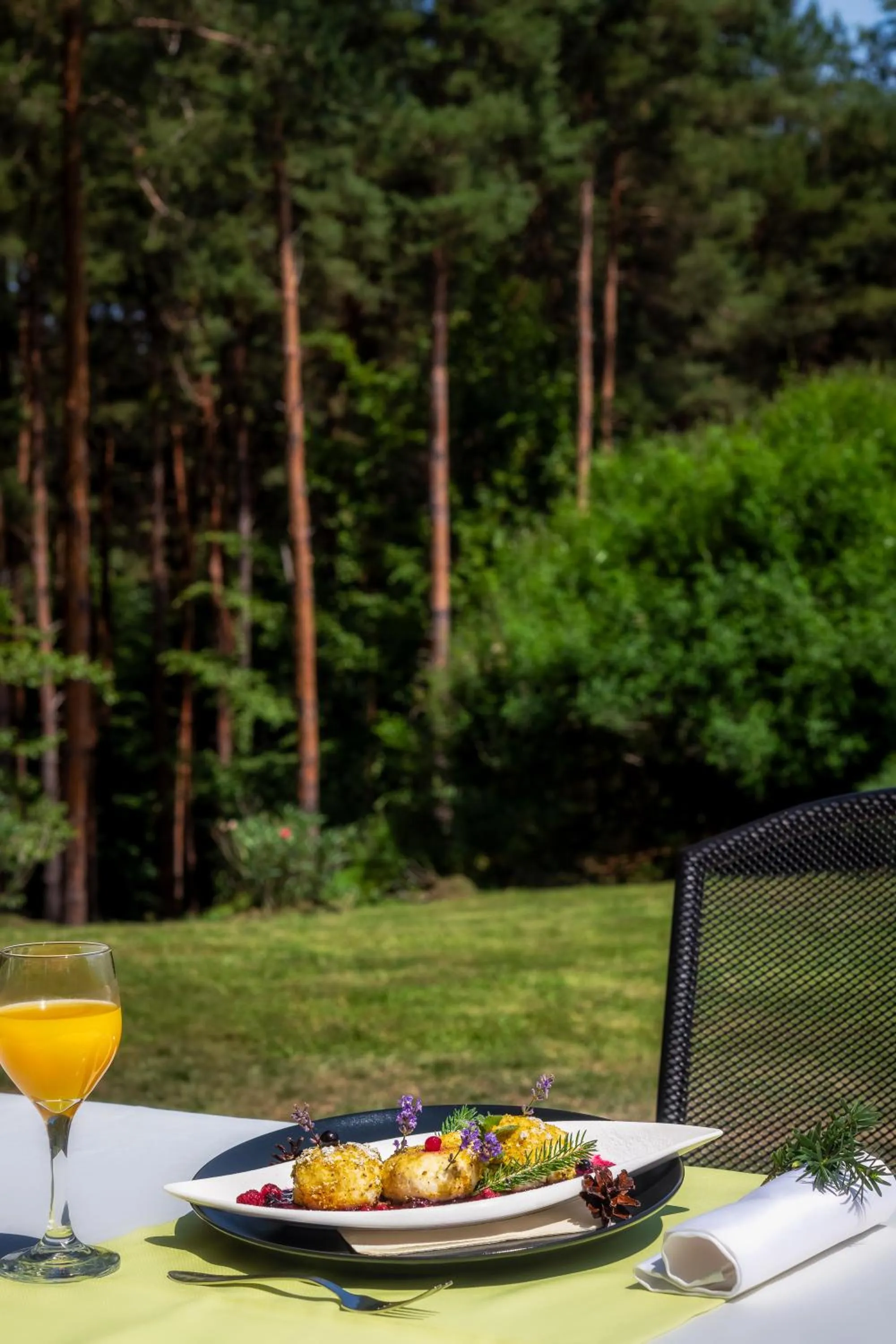 Food and drinks in Gosztola Gyöngye-az erdő szállodája