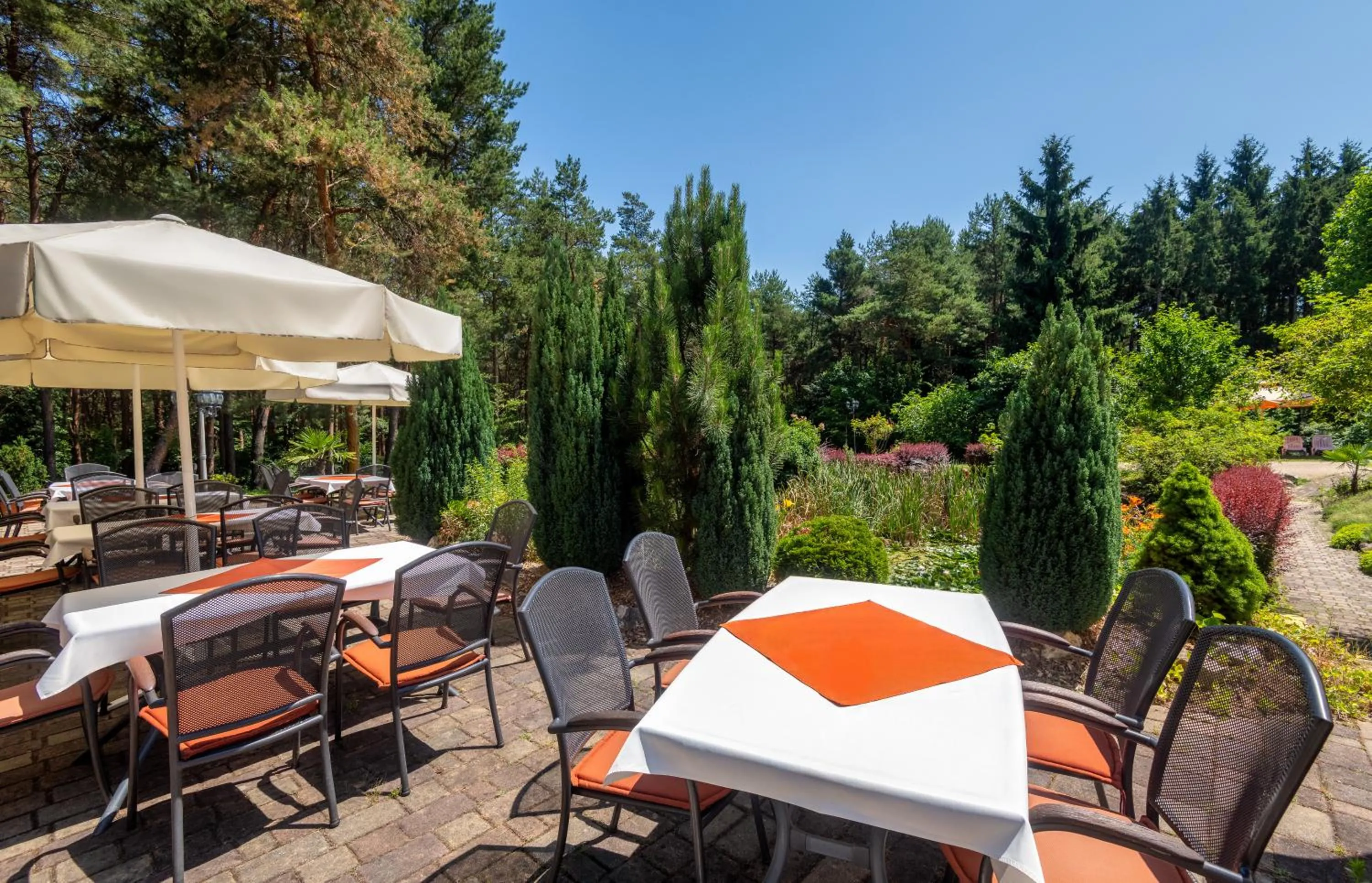 Patio in Gosztola Gyöngye-az erdő szállodája