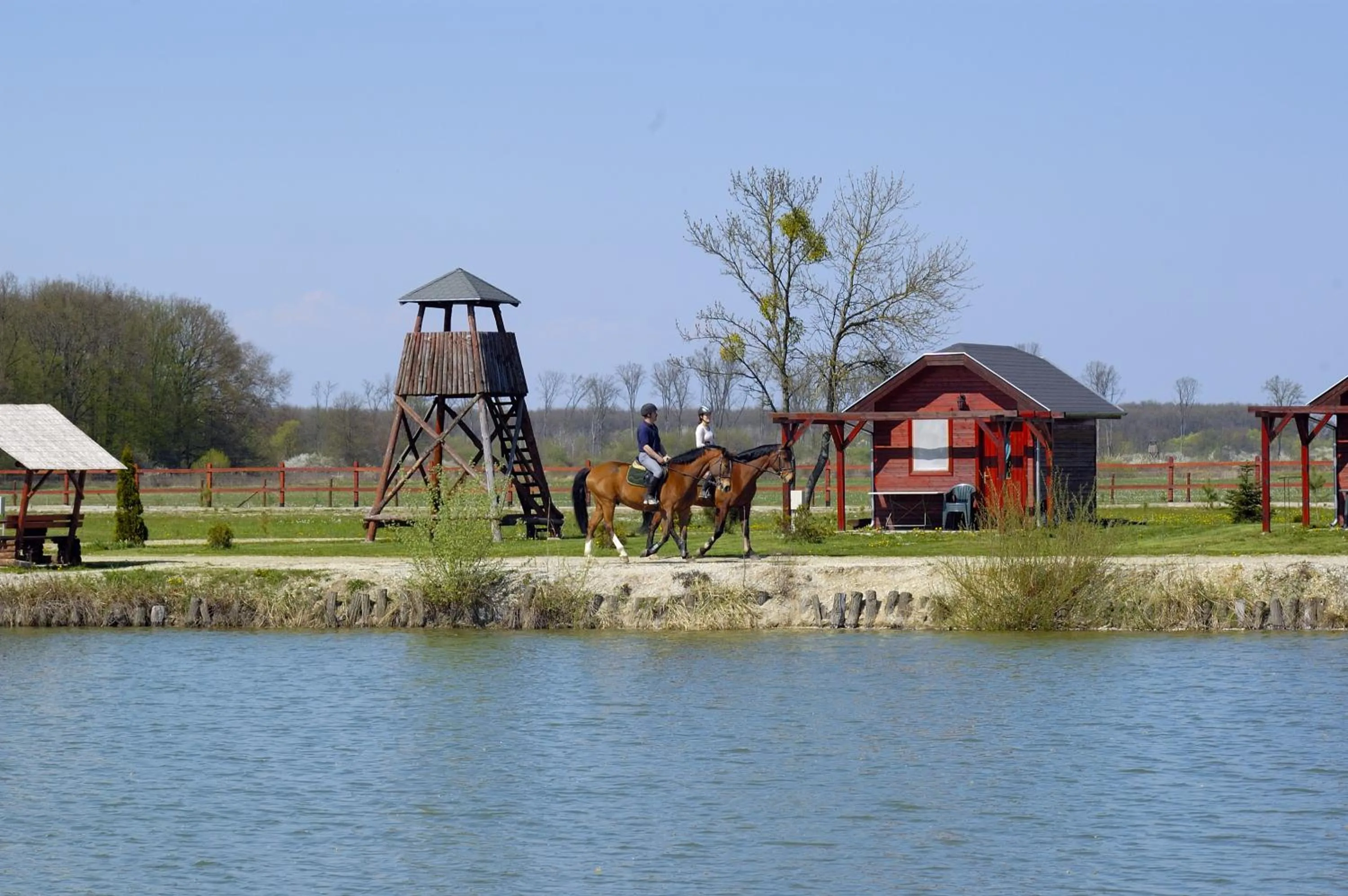 Horse-riding in Gosztola Gyöngye-az erdő szállodája