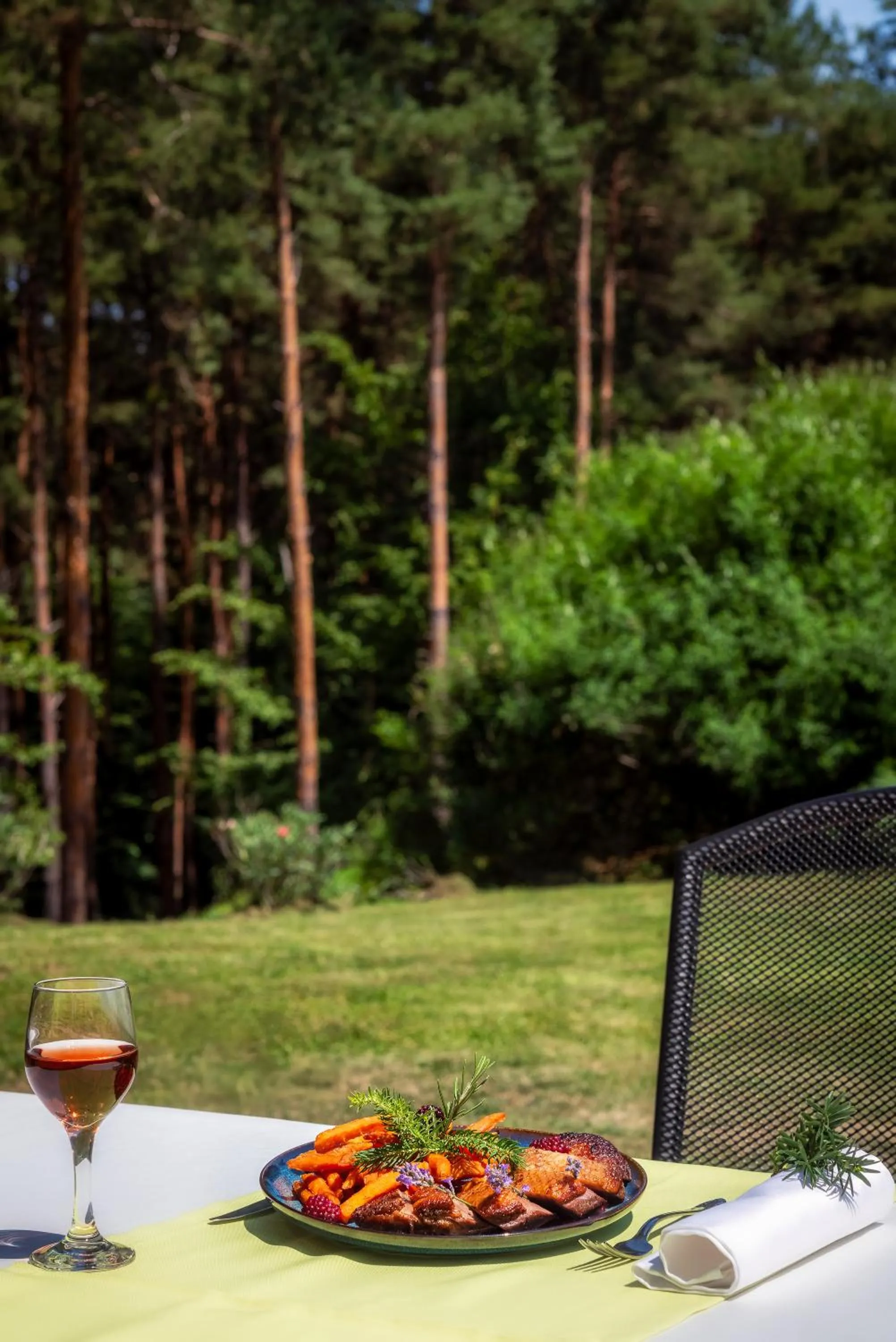 Food and drinks in Gosztola Gyöngye-az erdő szállodája