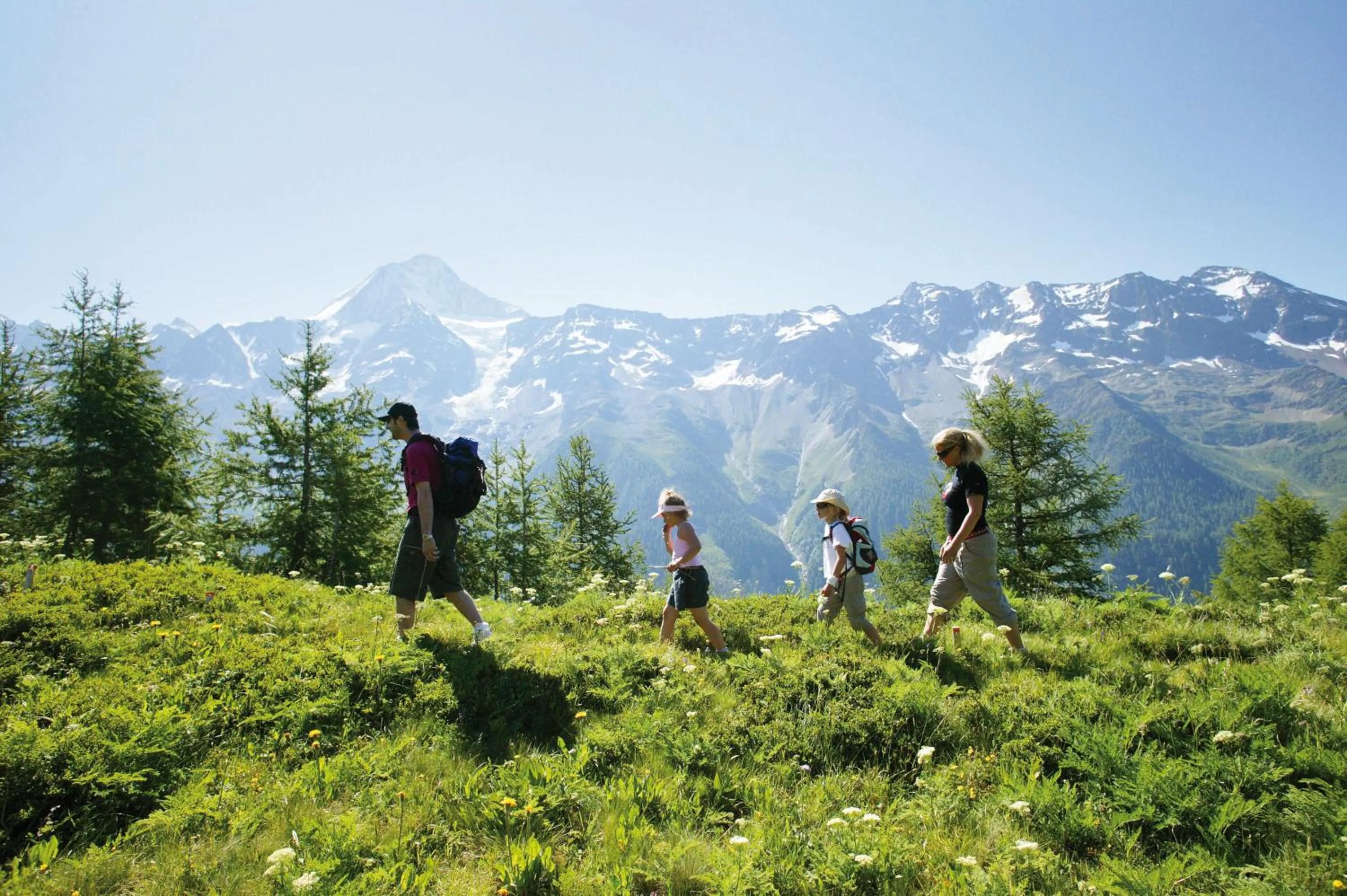 On site in Alpenhotel zur Wildi Lauchernalp