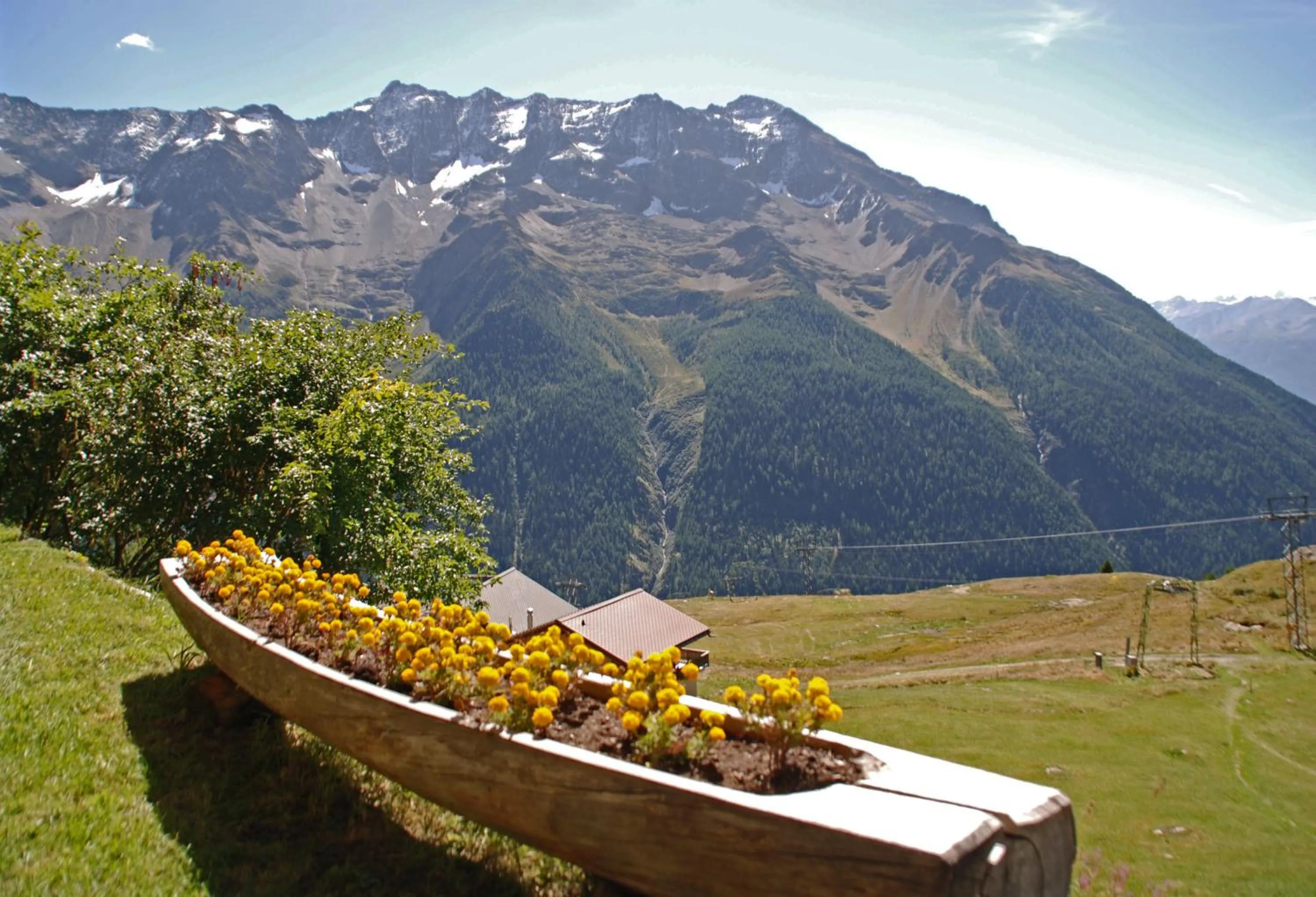 Alpenhotel zur Wildi Lauchernalp