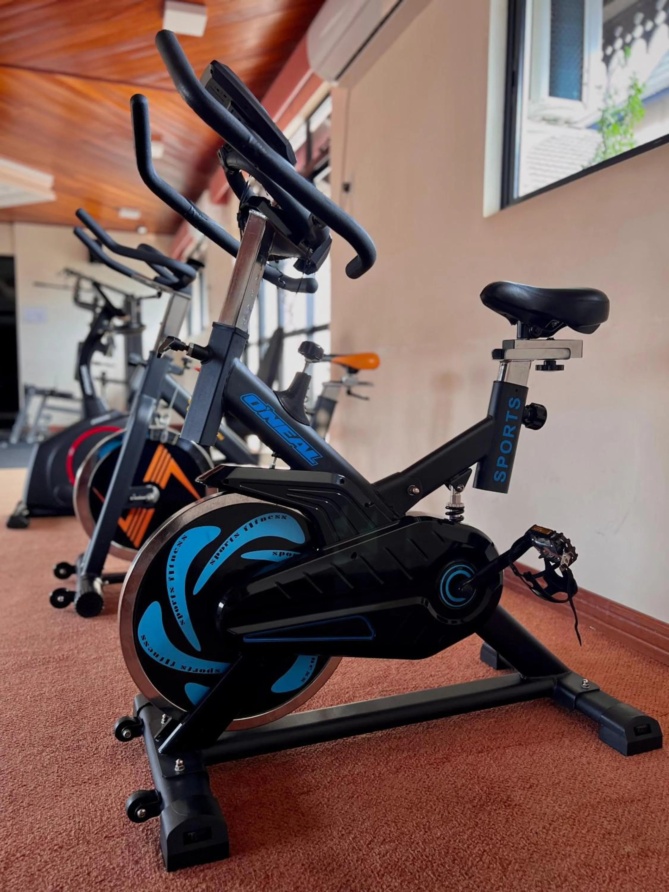 Fitness centre/facilities in Hotel Vila Germânica