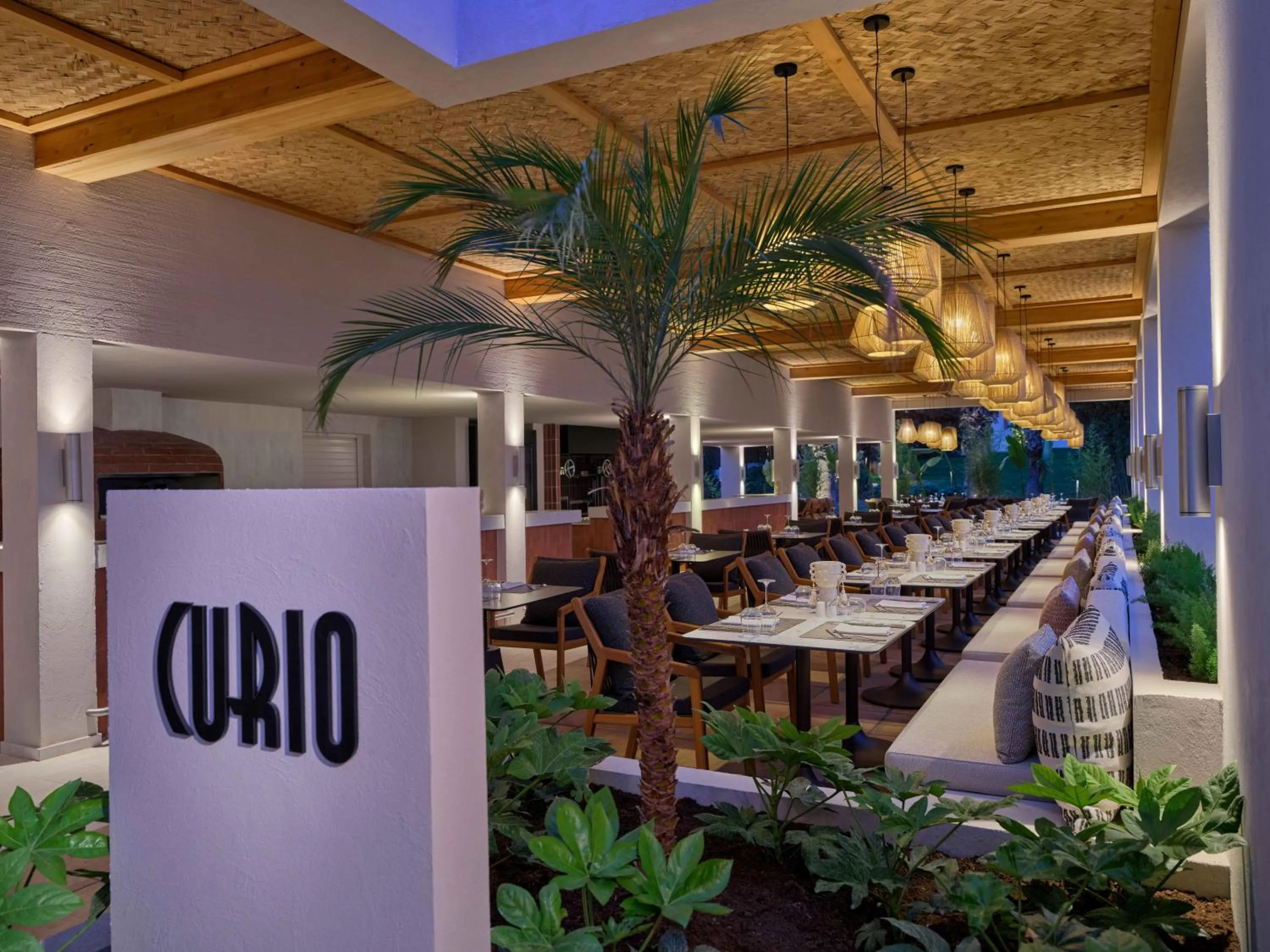 Restaurant/places to eat in Paloma Grida