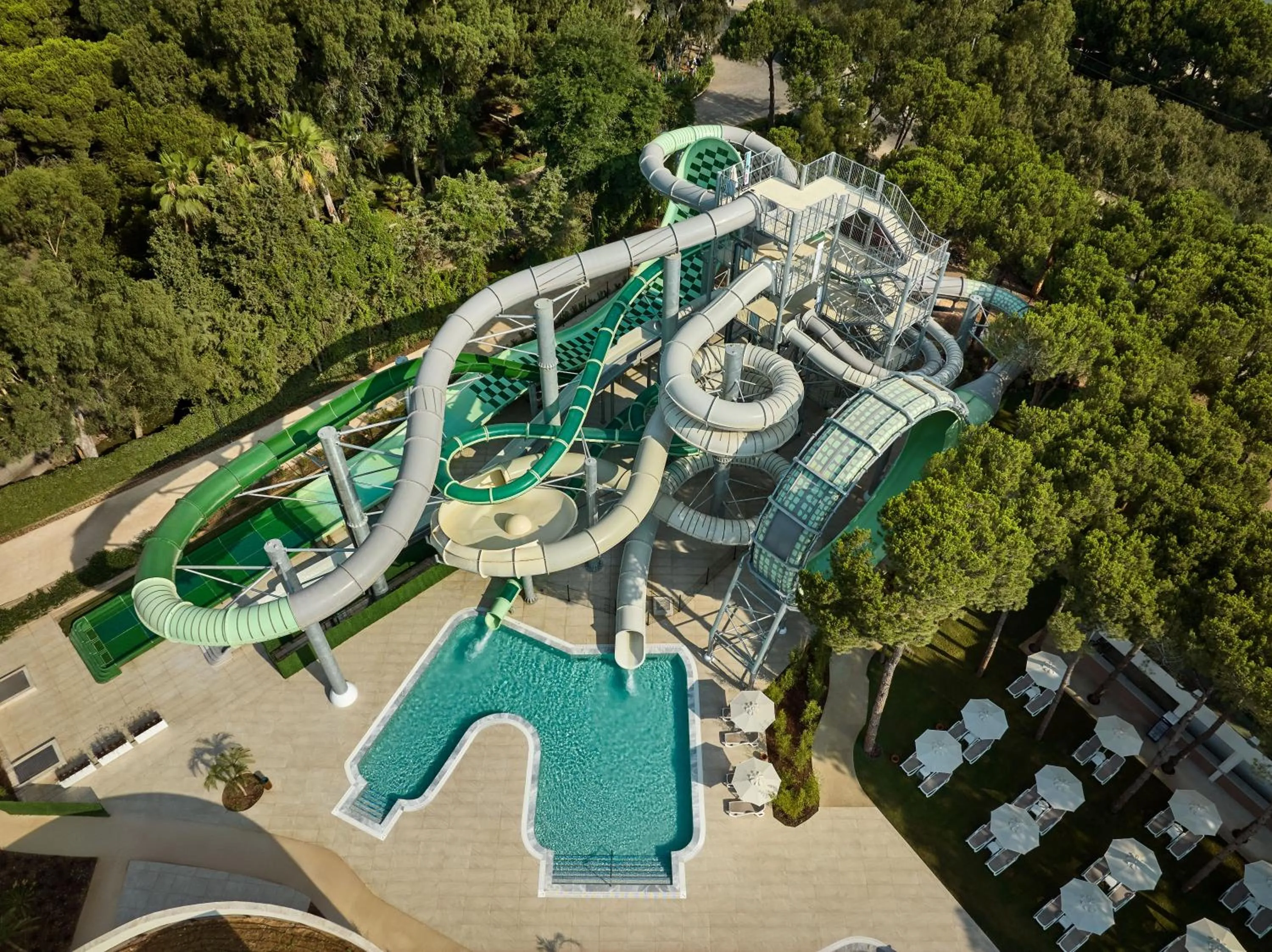 Bird's eye view in Paloma Grida