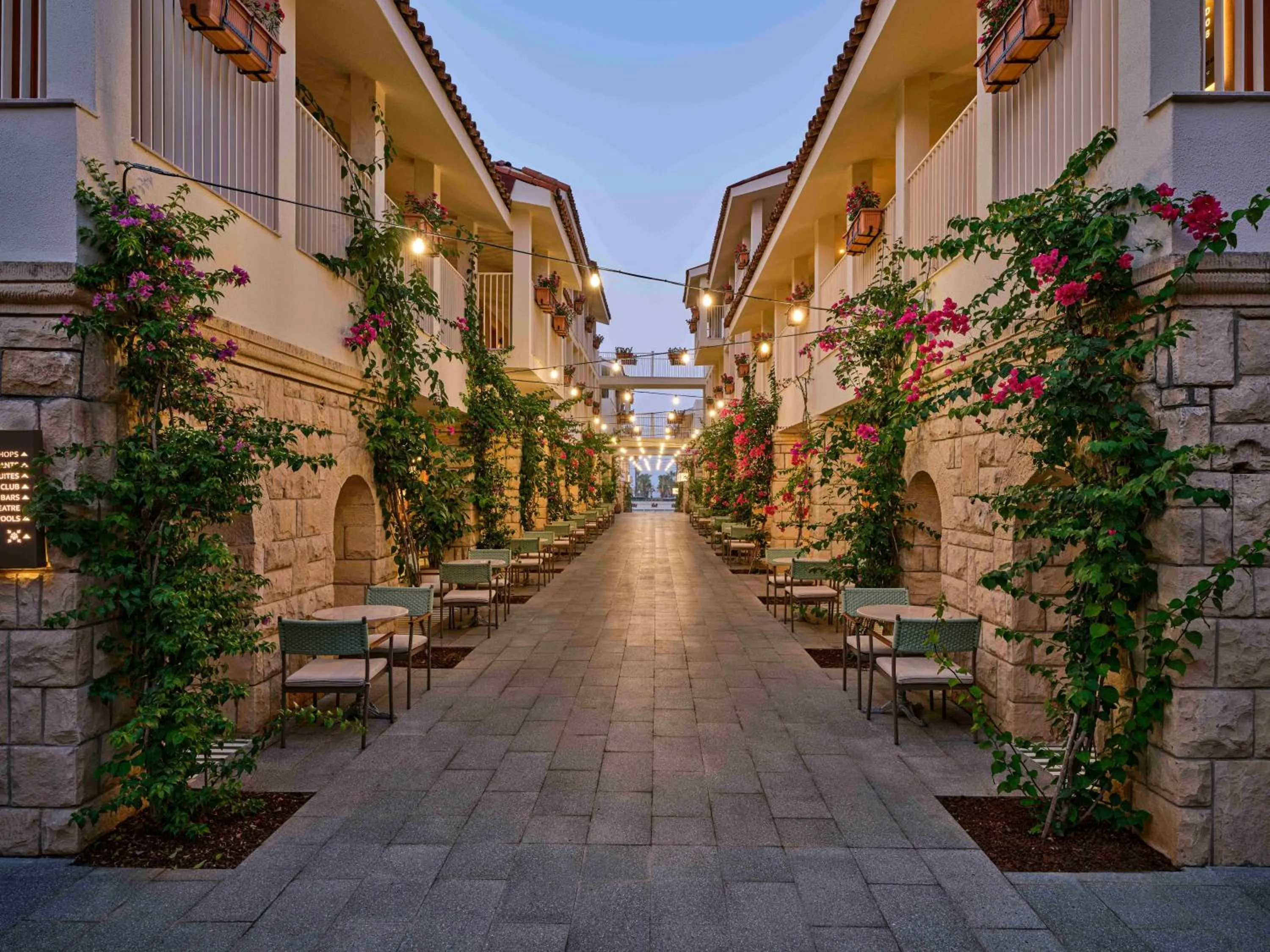 Garden in Paloma Grida