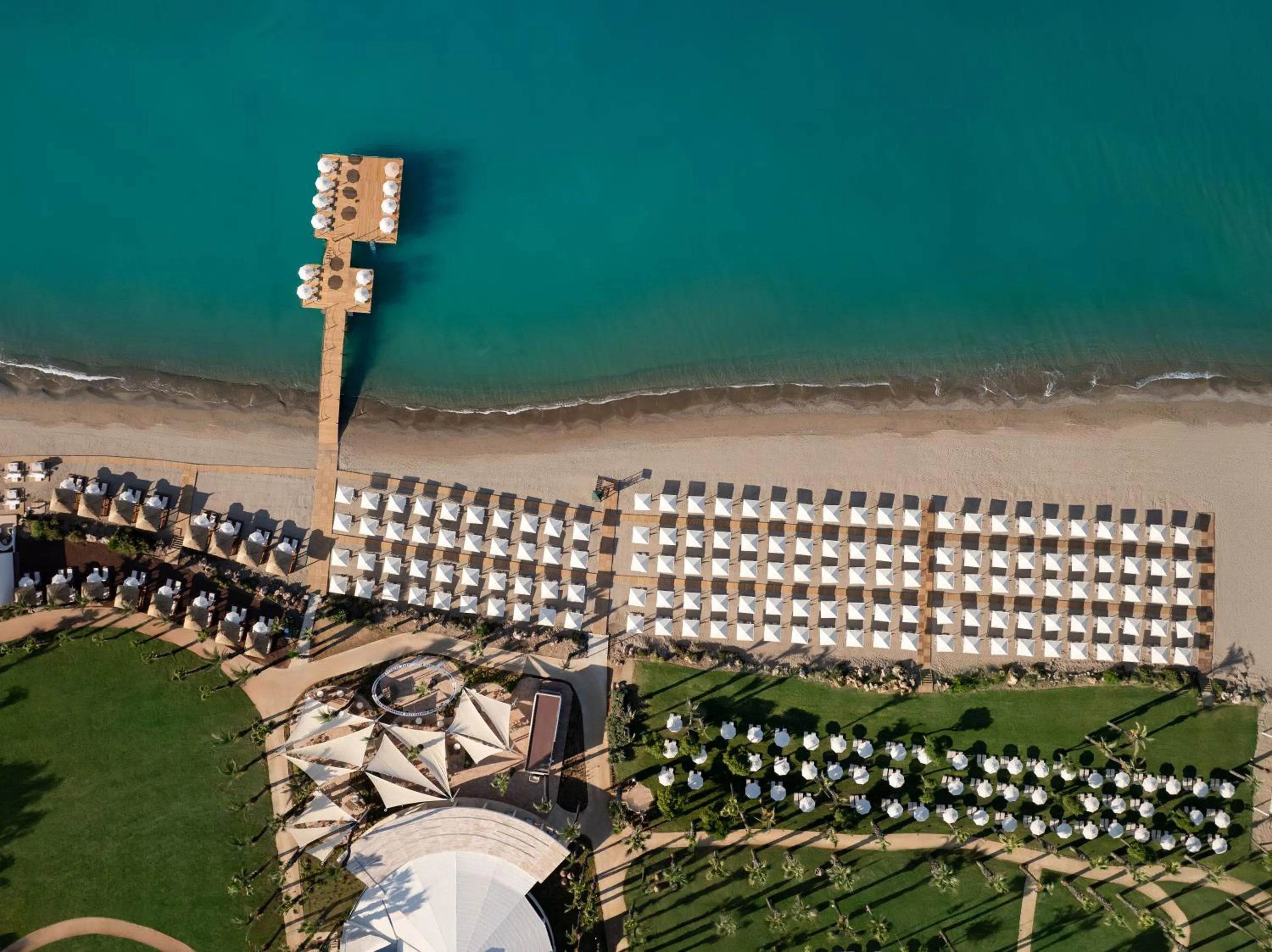 Bird's eye view in Paloma Grida