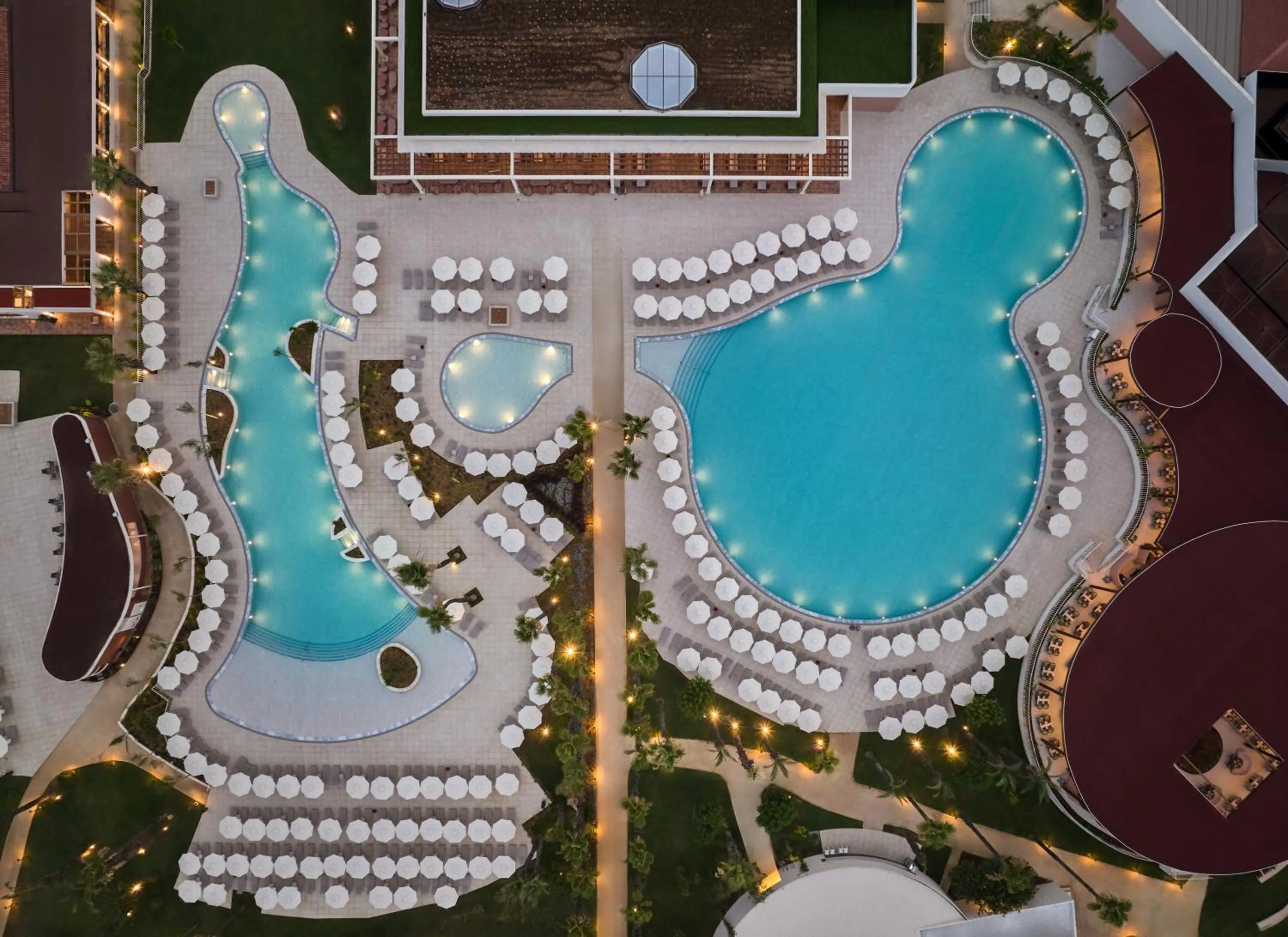 Bird's eye view in Paloma Grida