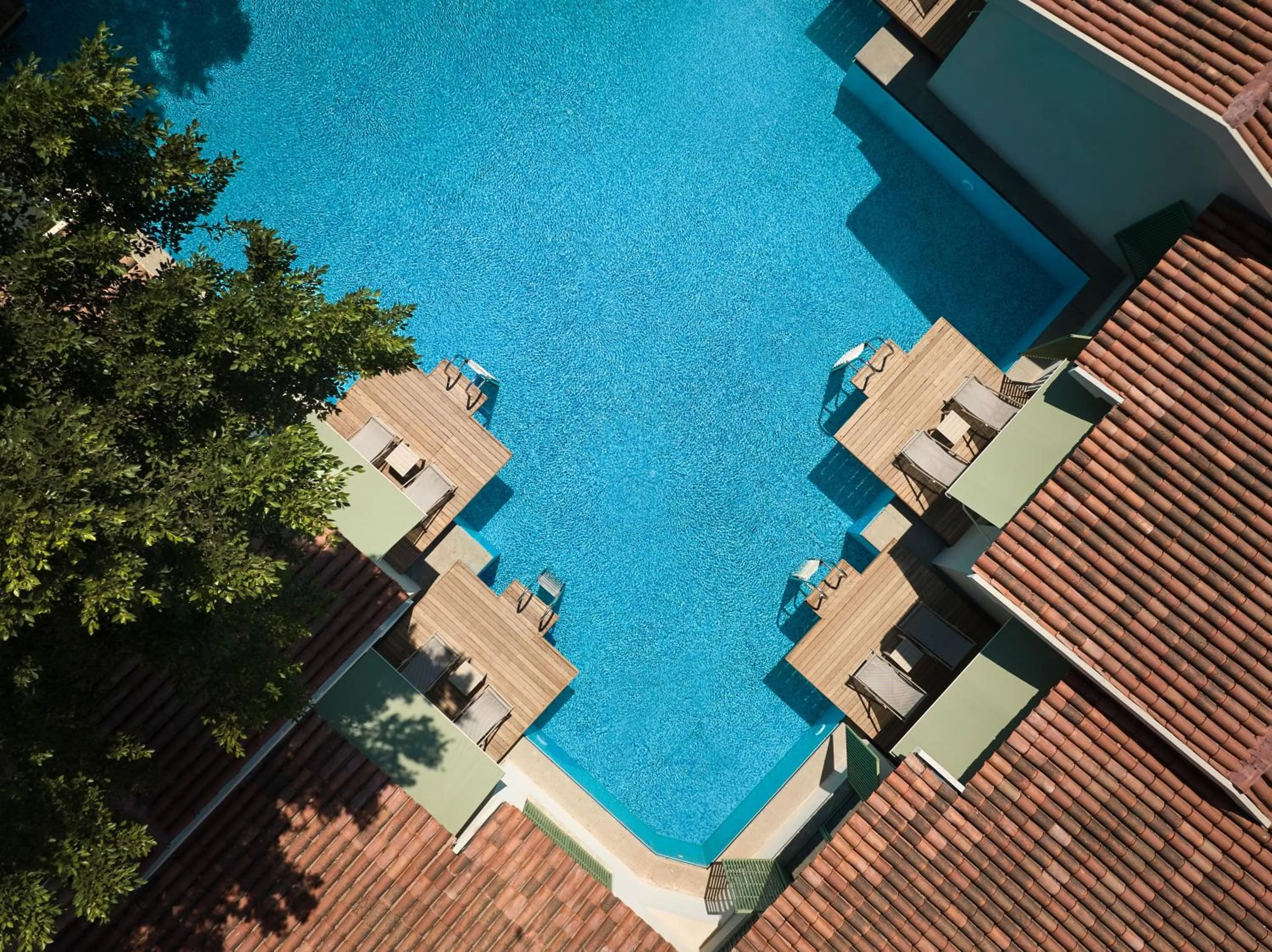 Swimming pool in Paloma Grida