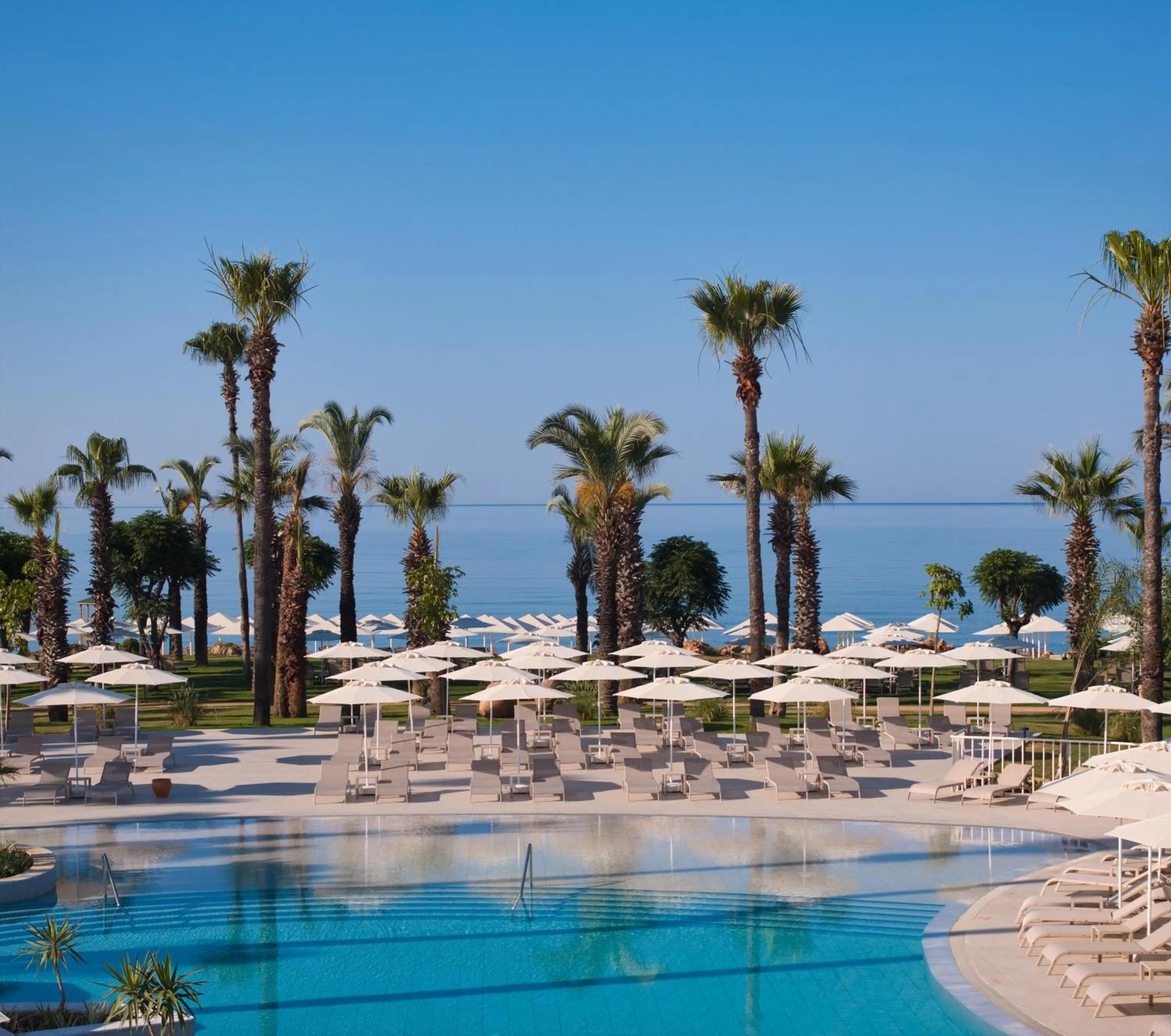 Garden view in Paloma Grida