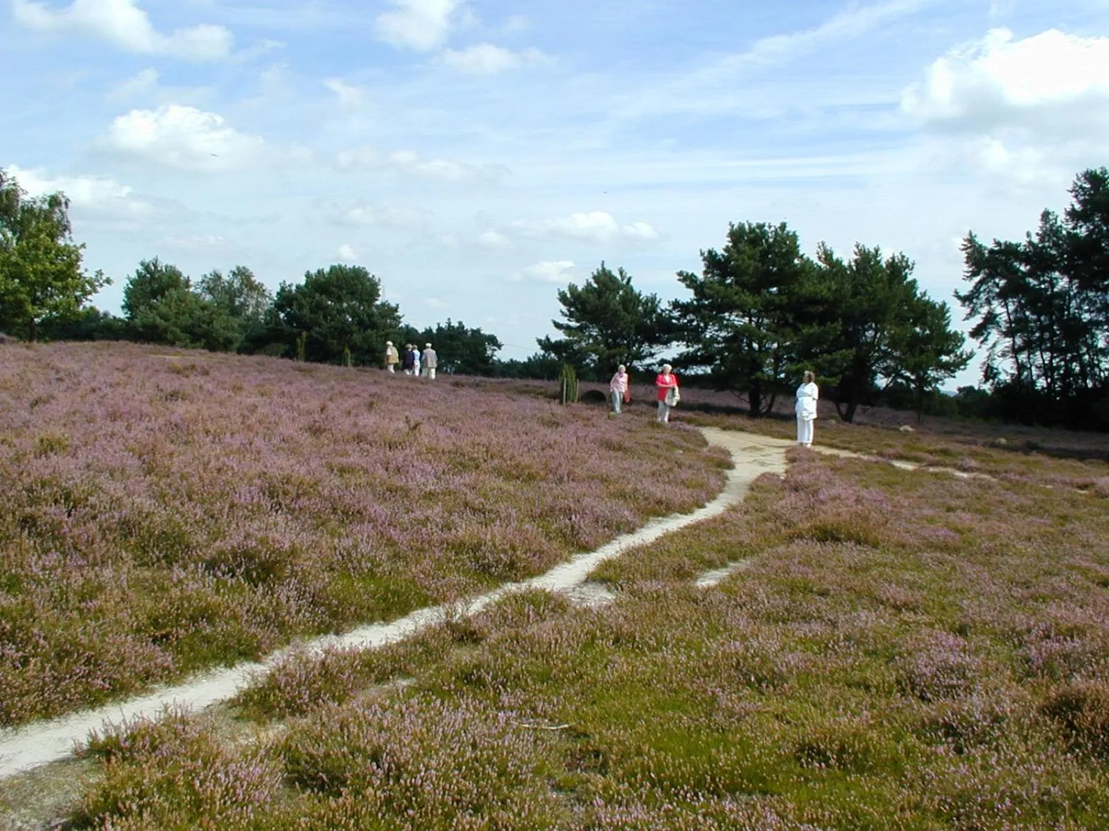Hiking in Landhotel Baumanns Hof