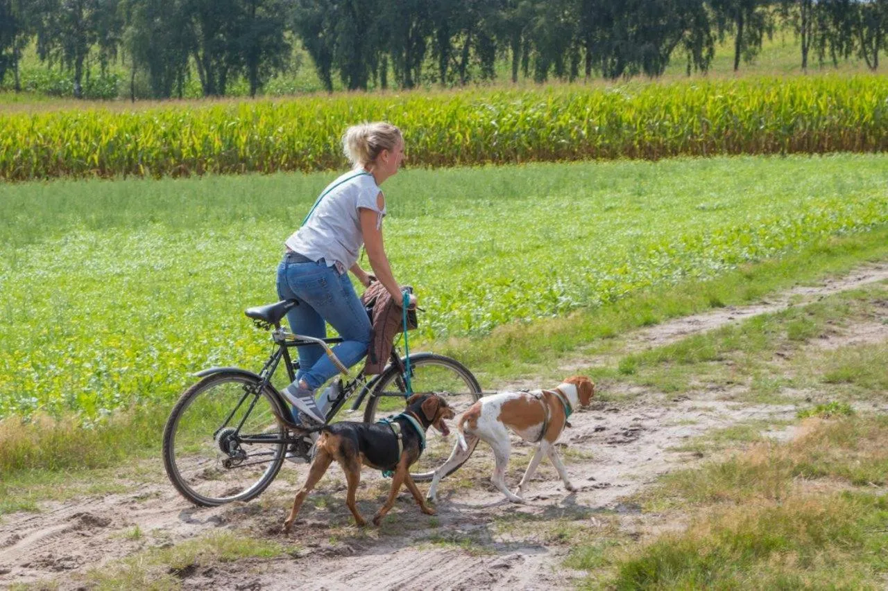 Cycling in Landhotel Baumanns Hof