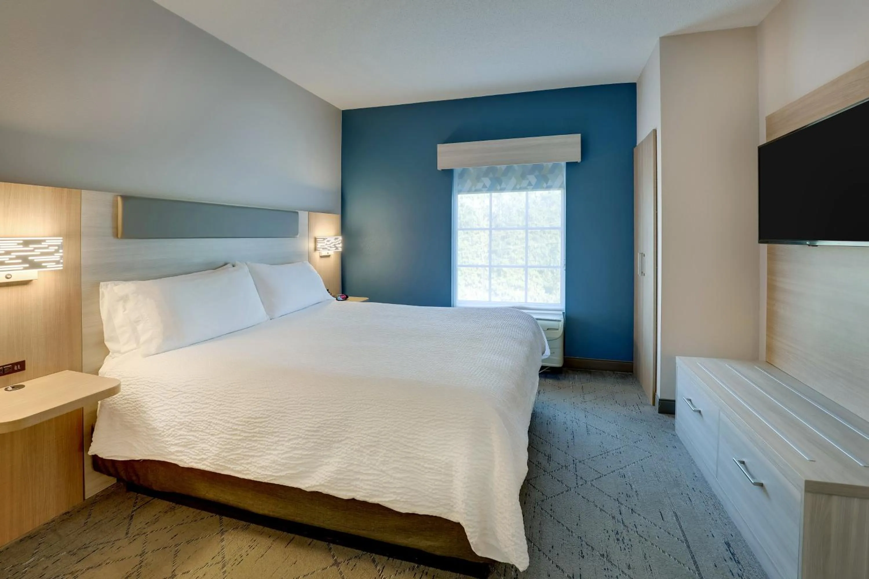 Photo of the whole room, Bed in Holiday Inn Express & Suites Orangeburg by IHG