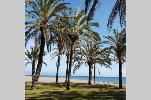 Beach in Apartamento Minerva Jupiter. The perfect accommodation for your vacation