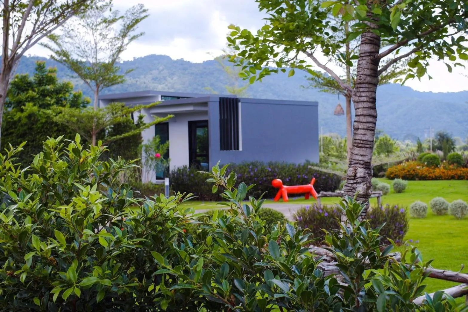 Natural landscape in The Focus Khaoyai Resort