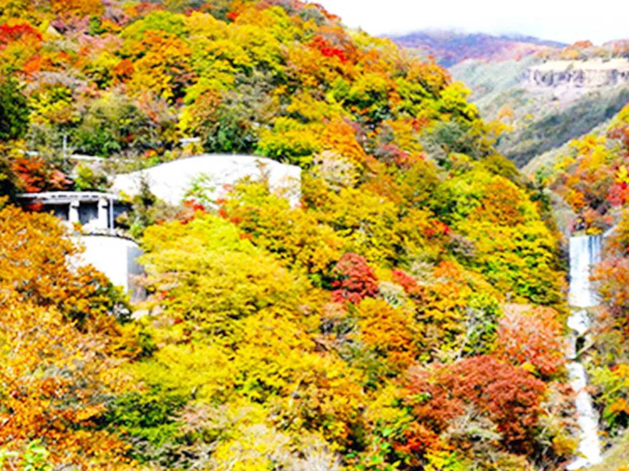 Nearby landmark in Hotel Euro City