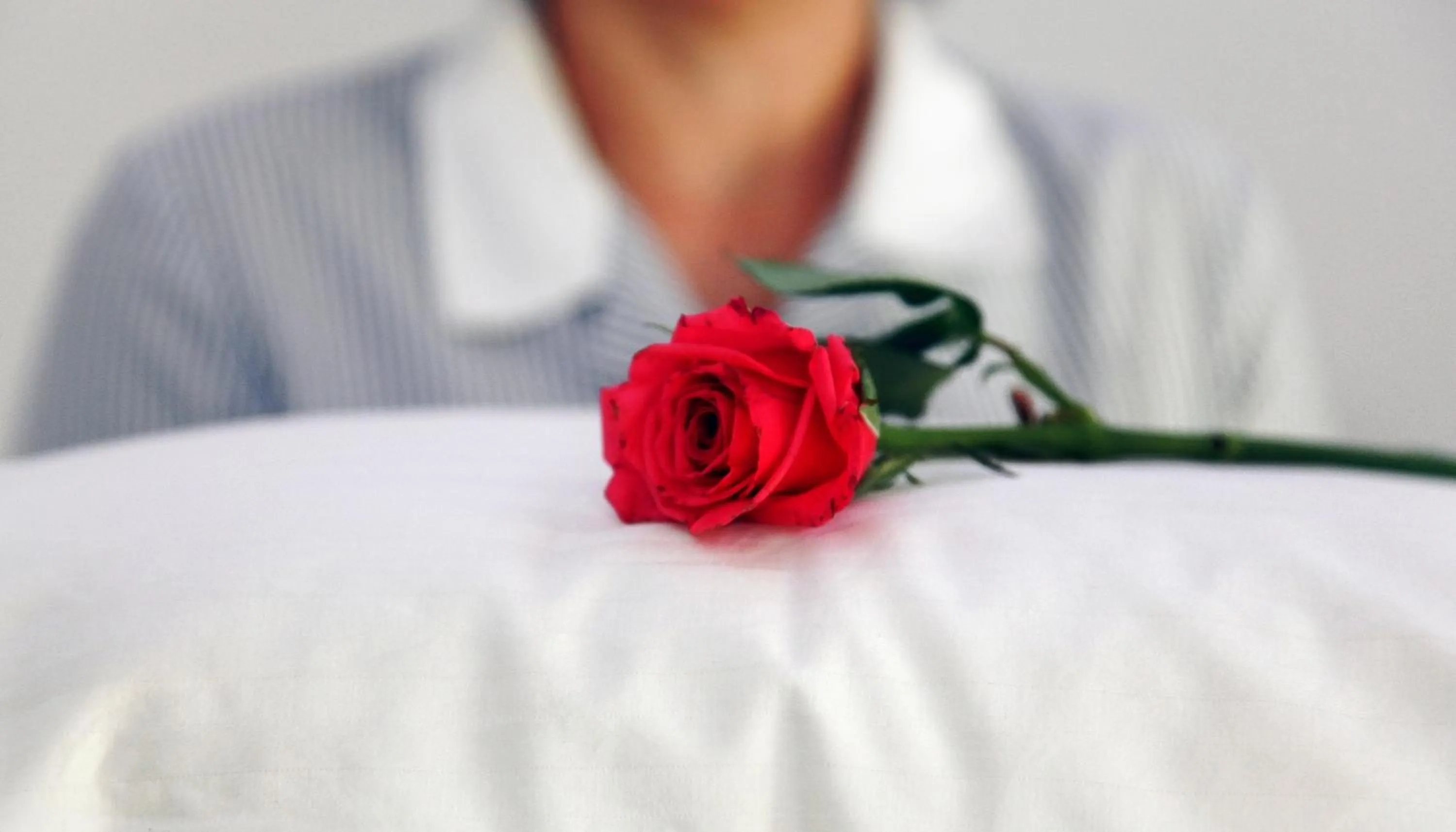 Decorative detail in Fresh Boutique Hotel