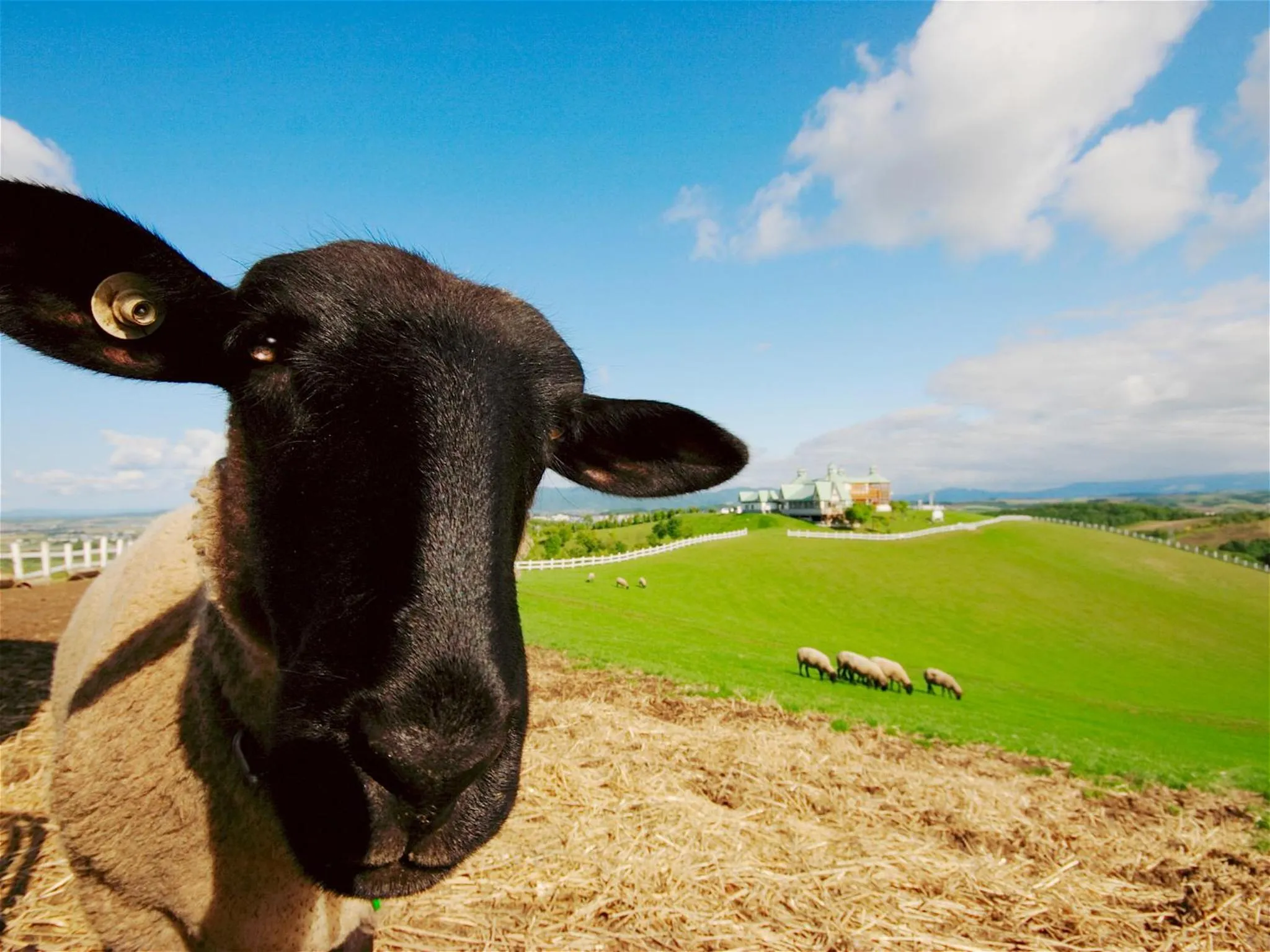 Shibetsu Grand Hotel