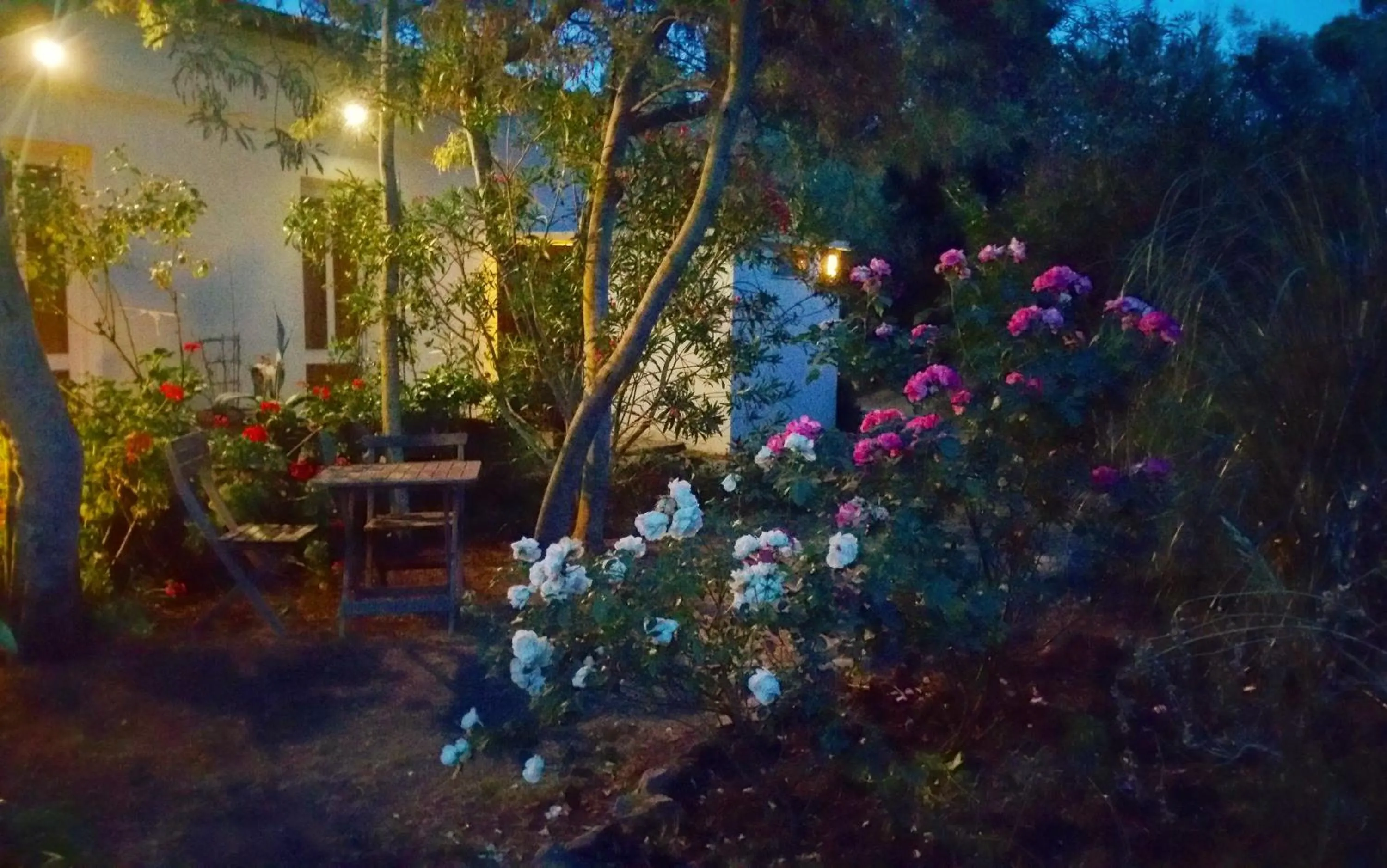 Spring in Casa Orsoni