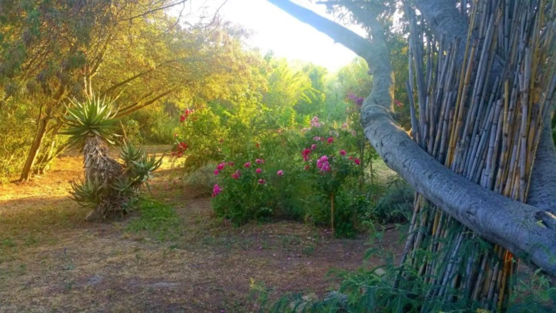 Spring in Casa Orsoni