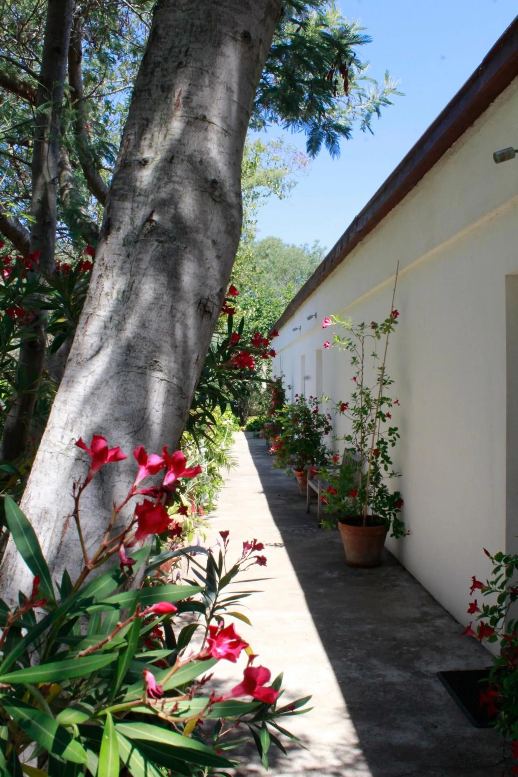 Property building in Casa Orsoni