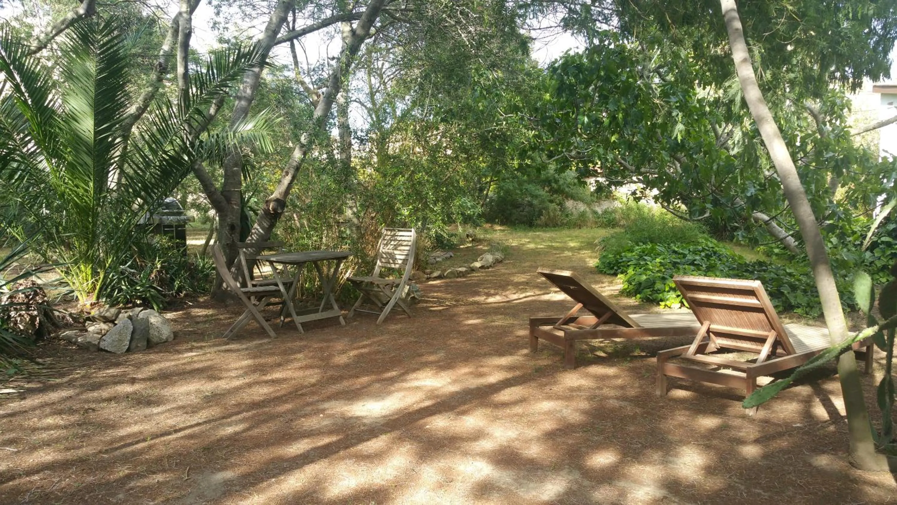 Garden in Casa Orsoni