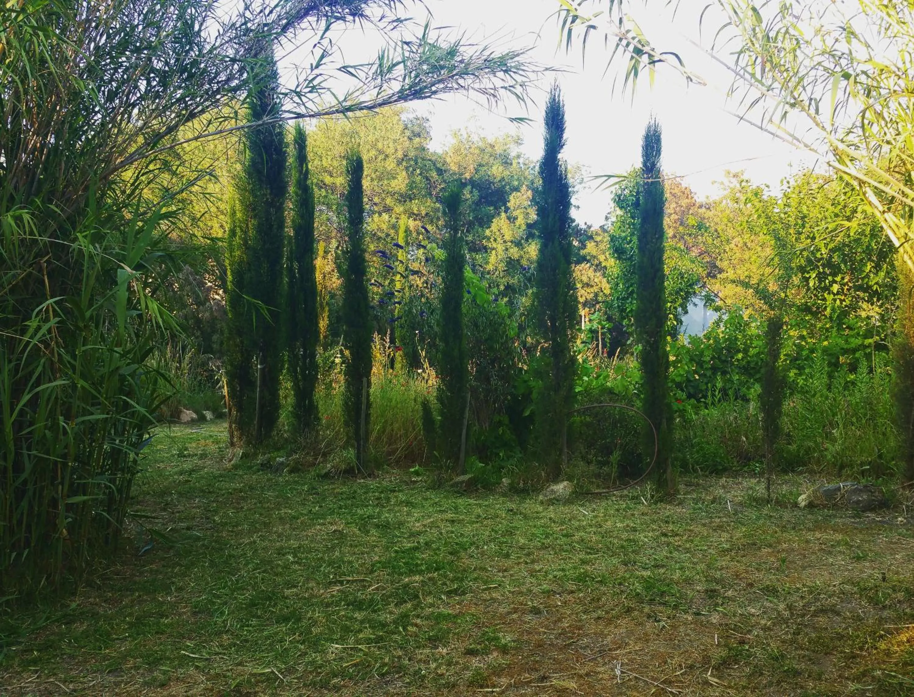 Garden in Casa Orsoni