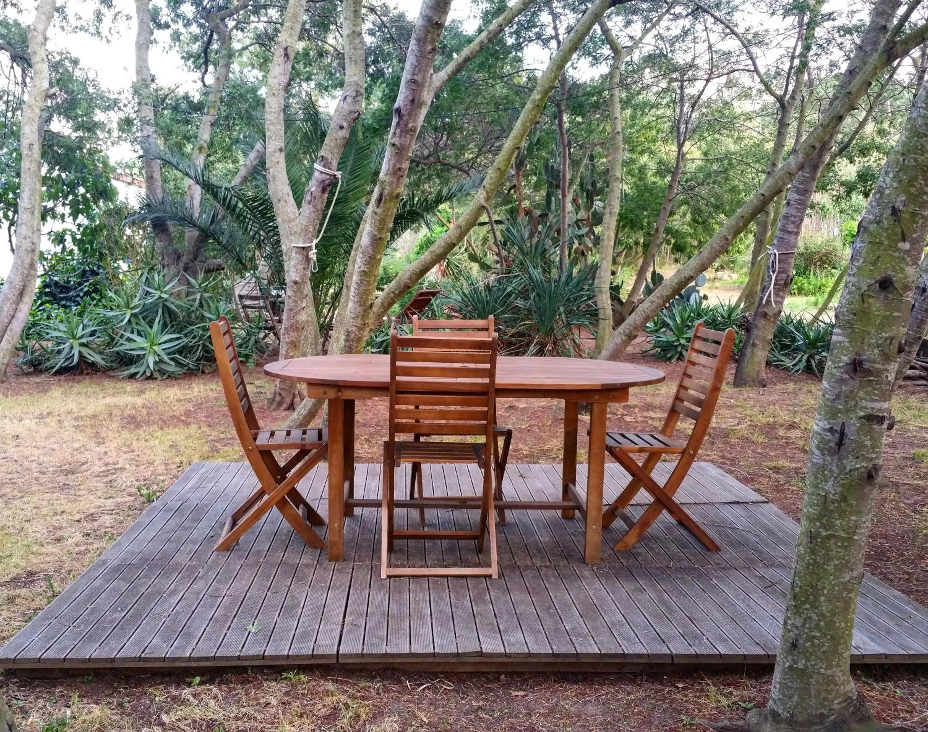 Garden in Casa Orsoni