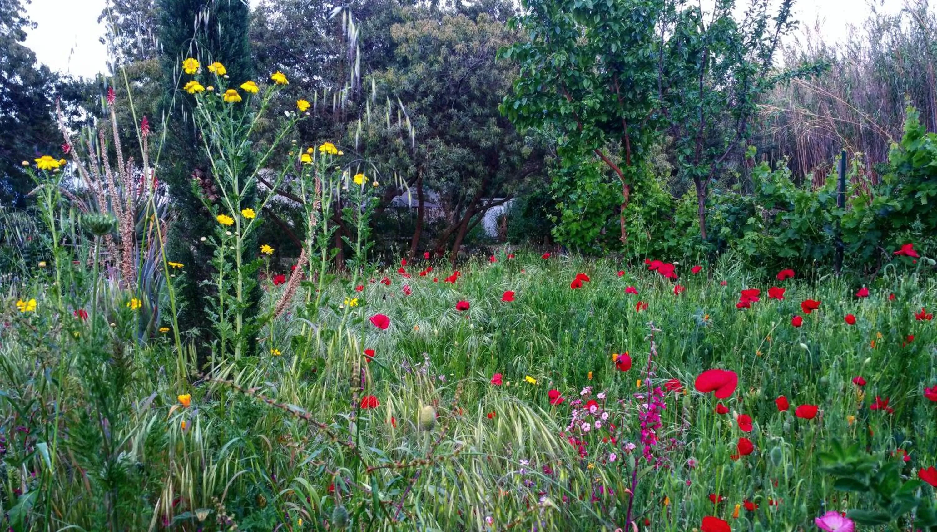 Spring in Casa Orsoni