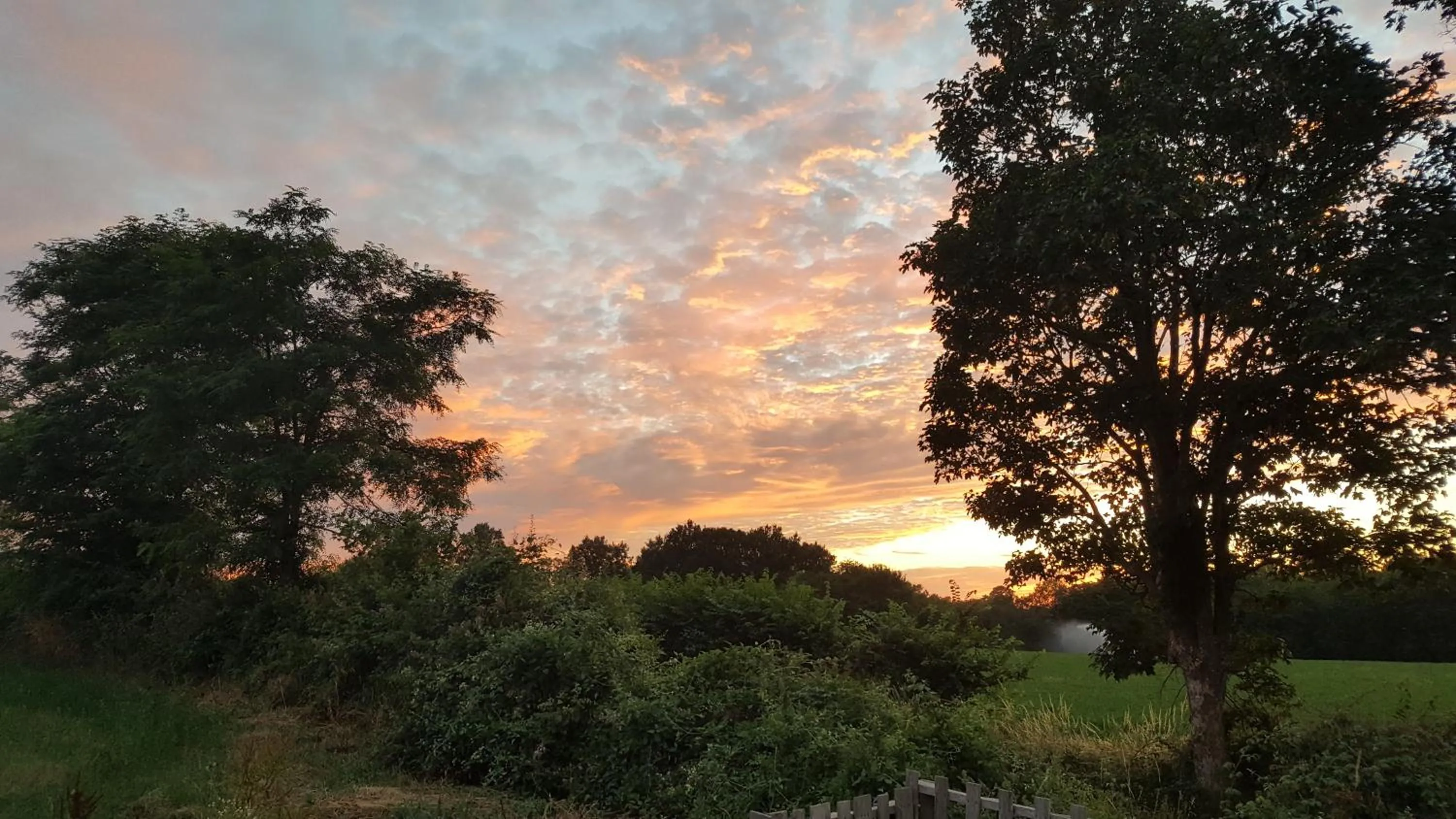 Natural landscape in La Vieille Gorce Chambres d'Hôtes near Civray