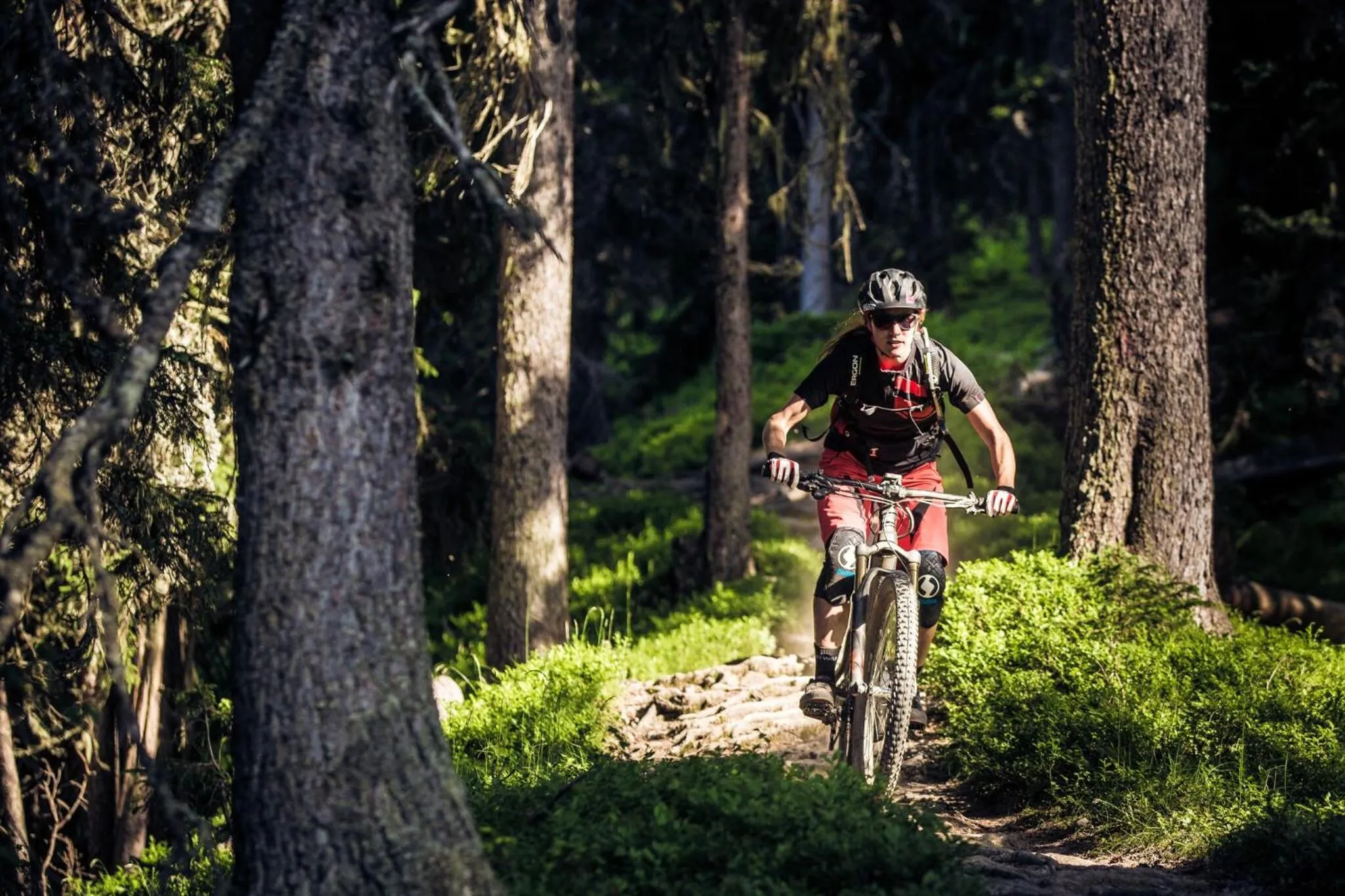 Activities in Schiefer Suite Hotel & Apartments