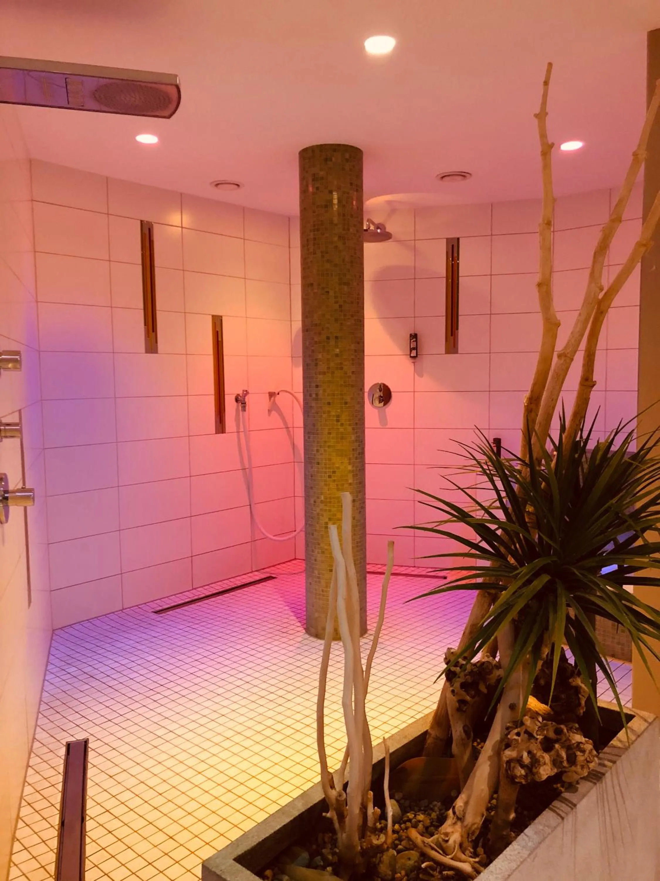 Spa and wellness centre/facilities in Hotel Heidegrund