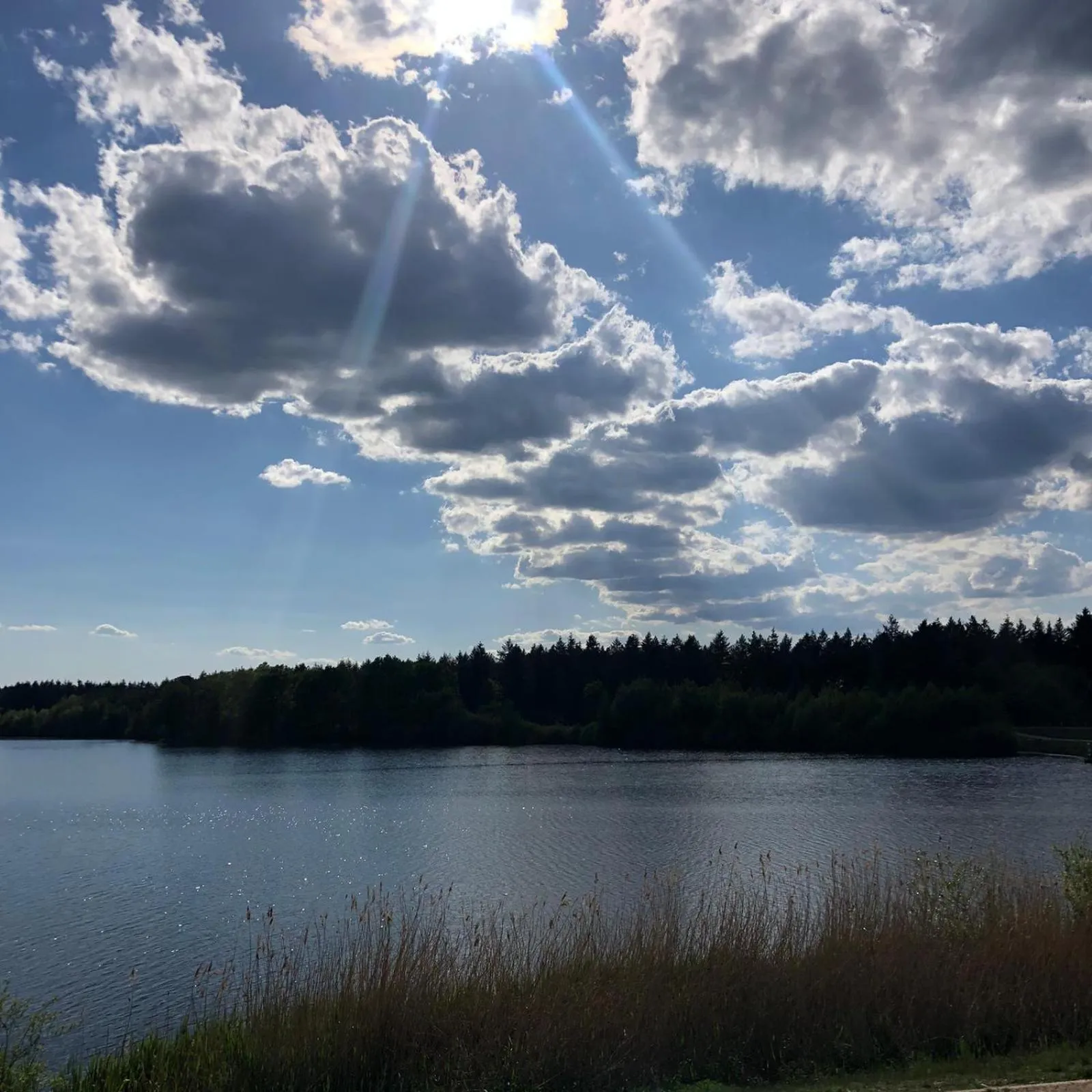 Natural landscape in Hotel Heidegrund