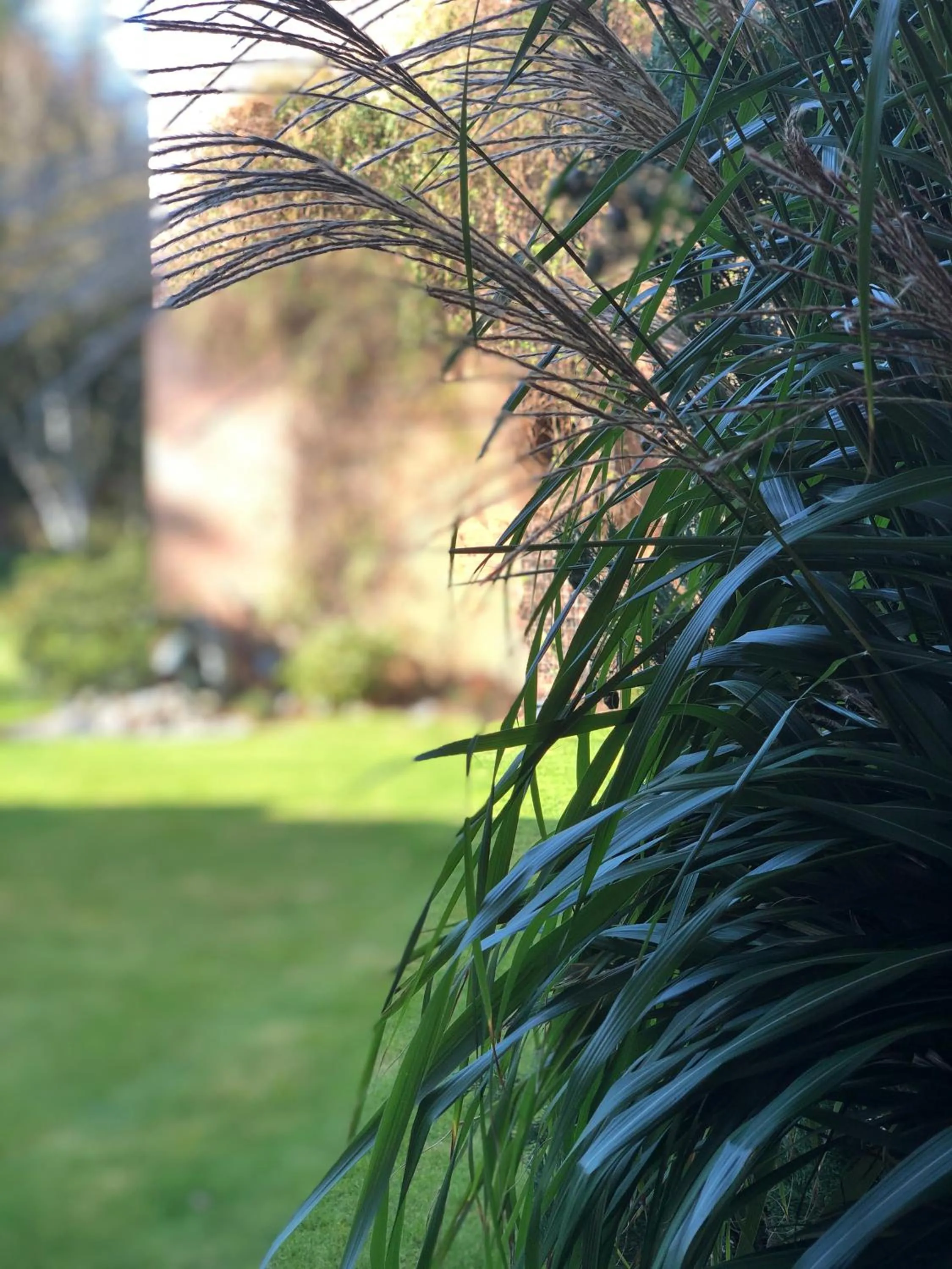 Garden in Hotel Heidegrund