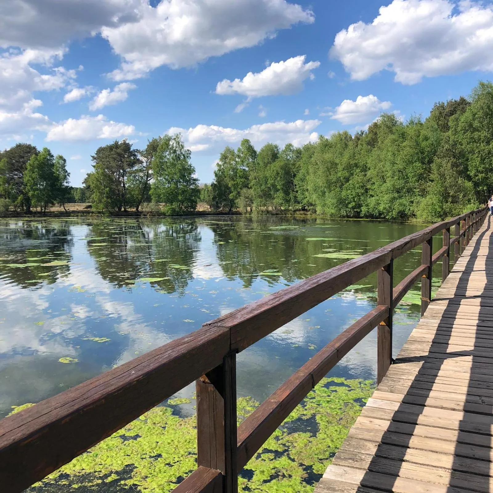 Natural landscape in Hotel Heidegrund
