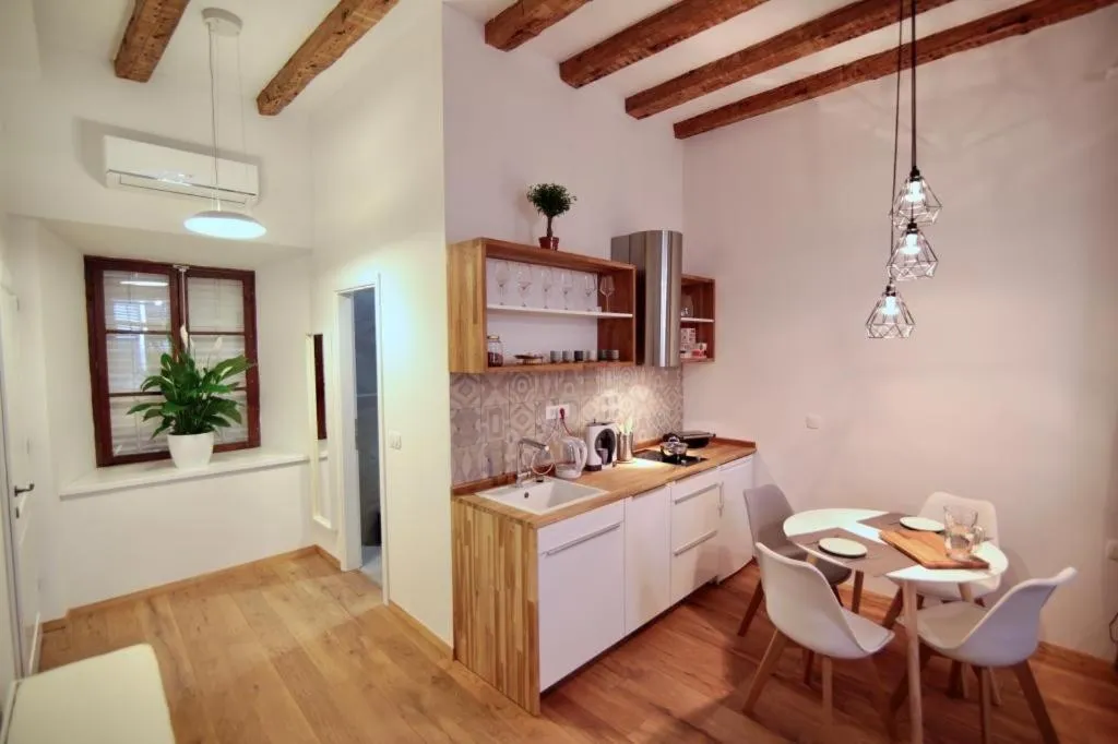 Kitchen or kitchenette in Apartments Cava Dubrovnik